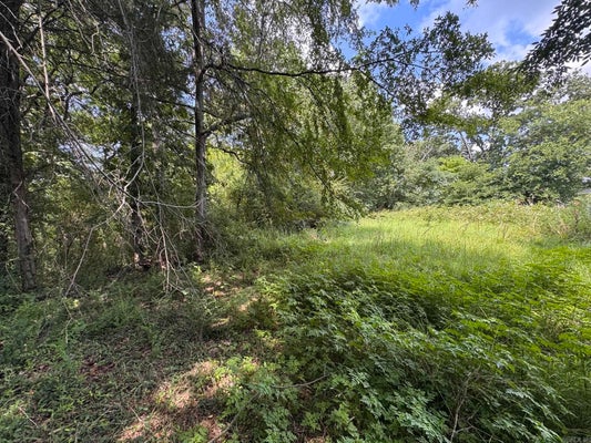 105 N MONTGOMERY ST, CLARKSVILLE, AR 72830 - Image 6f64fe576ac727e44b2ecd8b06b2ad8a/3598576699