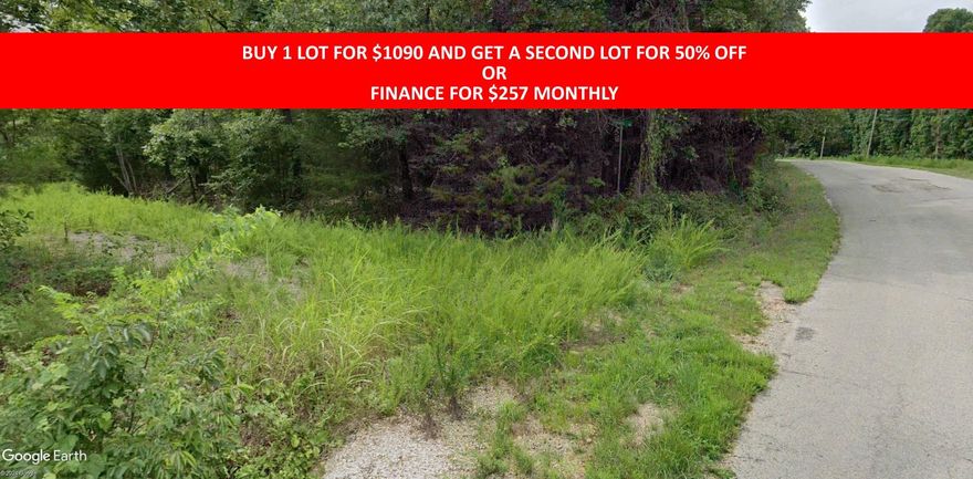 Buy one lot and get 50% off an additional lot! Part of a set of adjoining lots available. Owner-finance for easy terms. Cash buyers can pay by debit or credit card as well. Nice lot to develop or hold for future value. Public water and electric are available to run to property and will need septic. Owner/agent. No mobiles allowed. 300-2500 minimum build size on any other type of home, depending on subdivision. Finance is 5 months at $257 and closing costs are included. Lots marked with red banner are part of promotion. No limit on lots. Buyer responsible for any/all taxes and lots sold "as-is". Quit claim deed conveys. Parcel ID# 160-12482-000