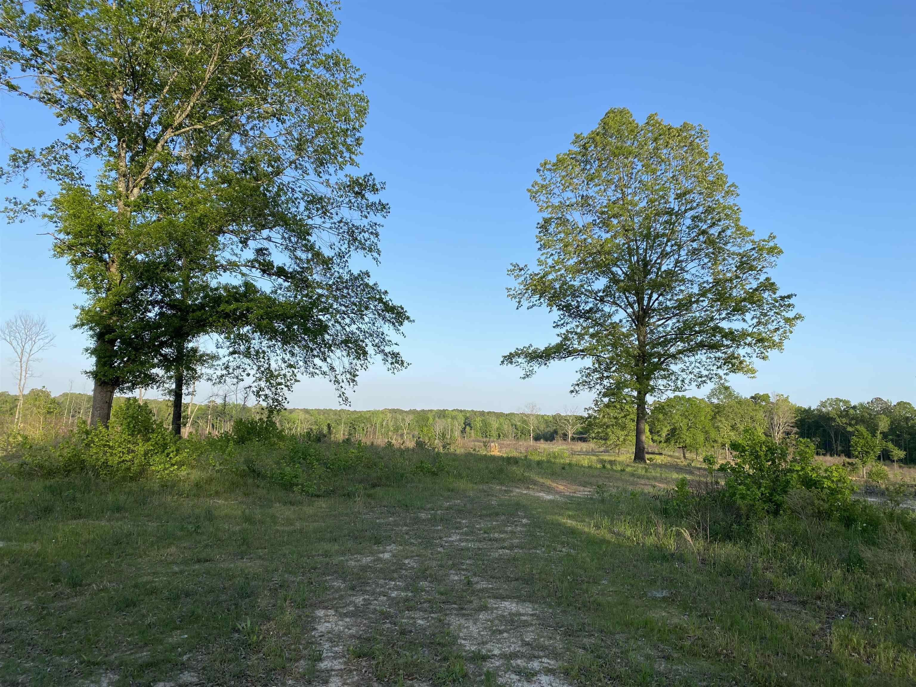 Not in Subdivision - Land