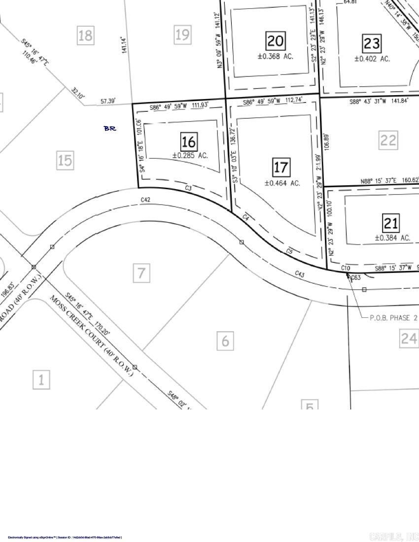 Hidden Forest - Land