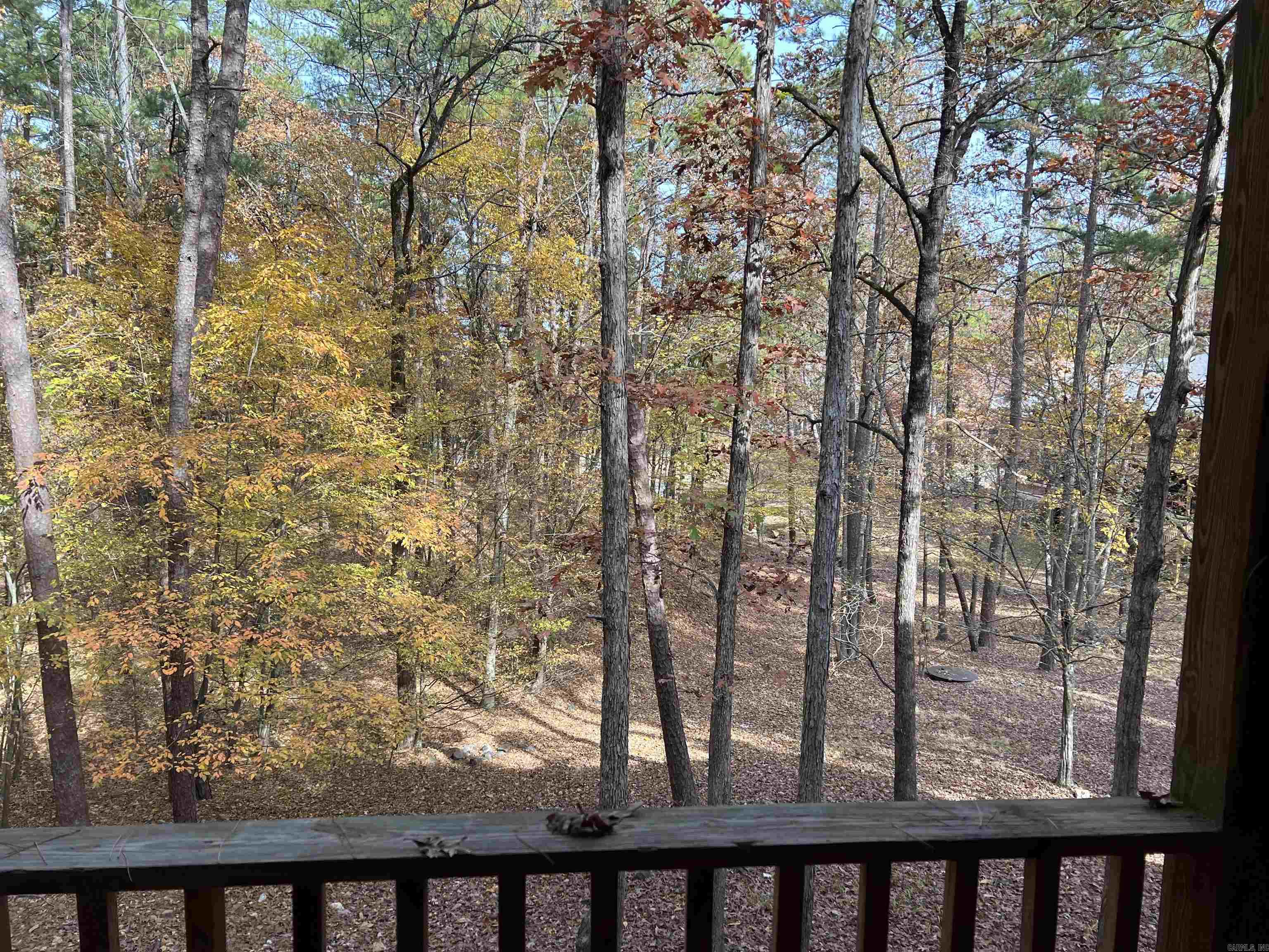 Harbor East Condo - Residential