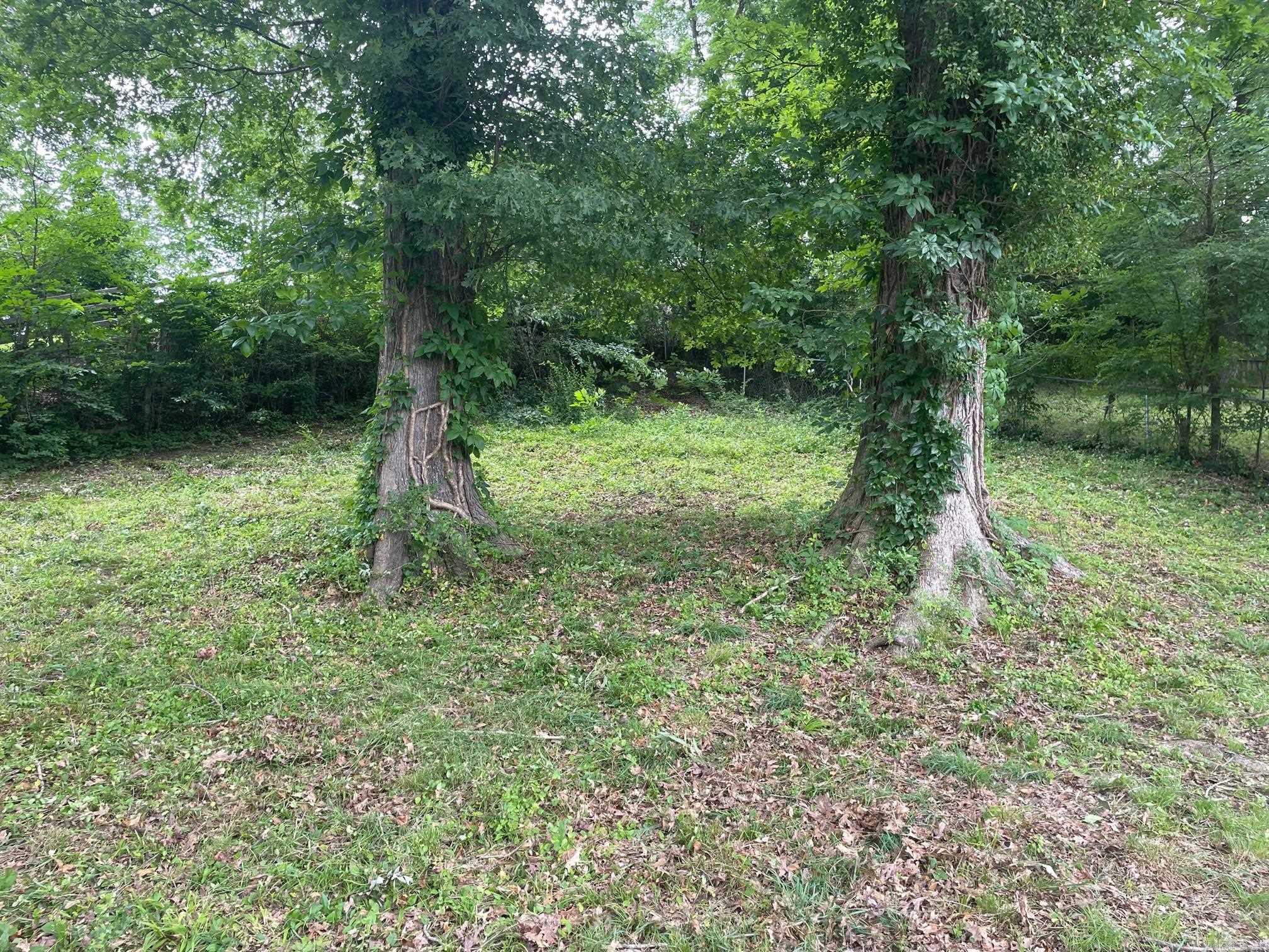 Smithers - Residential Lease