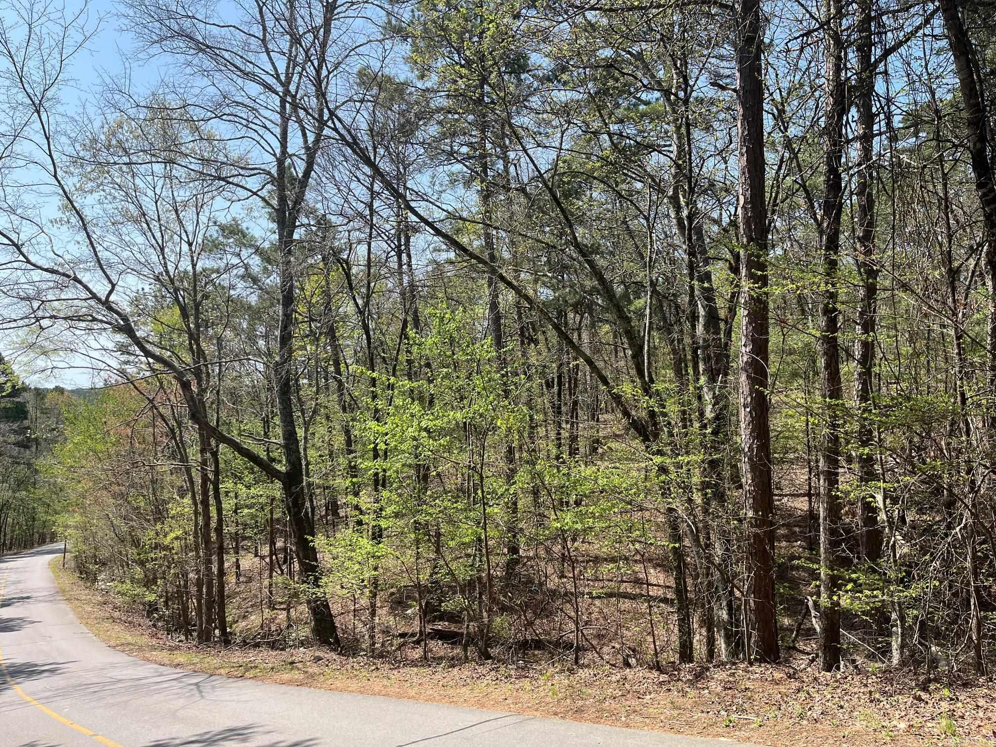 Nice upsloped lot with common property to the rear. It's in the Lake Coronado area, Hot Springs Village, AR. Enjoy the amenities of the Village!