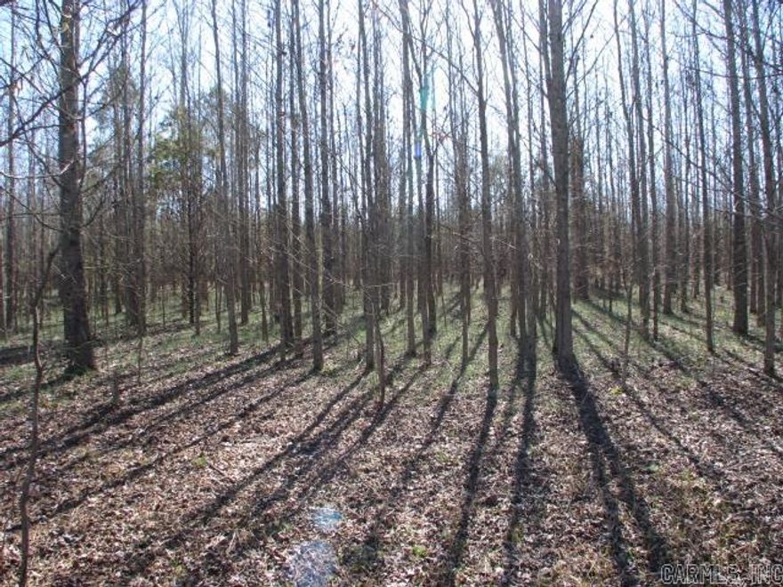 +/-48.0 Secluded acres perfect for recreational or residential use.  Located just off Hwy 5 on Lewisburg Rd.  Quick access to/from Cabot, Vilonia & Beebe.  Property is mostly level w/excellent hunting!  Now covered in hardwoods, however was previously pastureland.  Some utilities available on Lewisburg.  Call Listing Agent for more info!