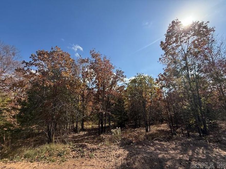Wooded lot perfect for building your home or building a home to sale.  You could leave trees at the back of the lot for privacy.  All utilities are on the property. 1200 sq. ft. minimum