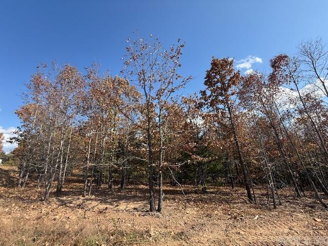 SUMMERLYN SUBDIVISION - Land