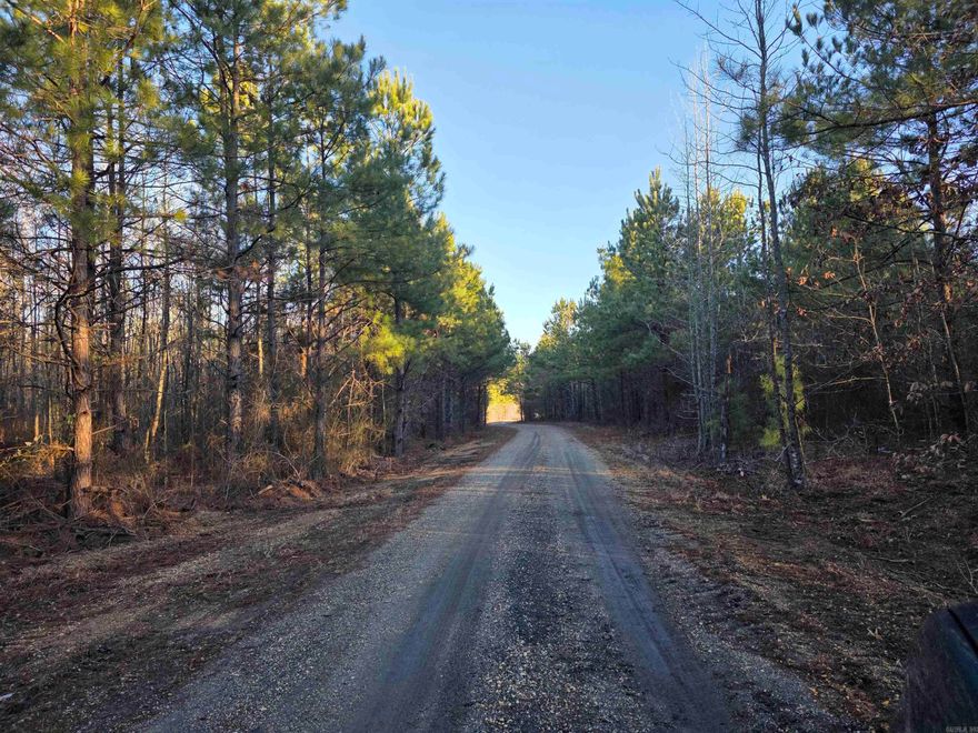 If you are looking for peaceful country living, this lot is it.  It is located in the Woodlawn Community of Cleveland County on a cul-de-sac road and is perfect for building your new home. Utilities are present at the road.  It is buyer's responsibility to do a perc test. Give me a call today.