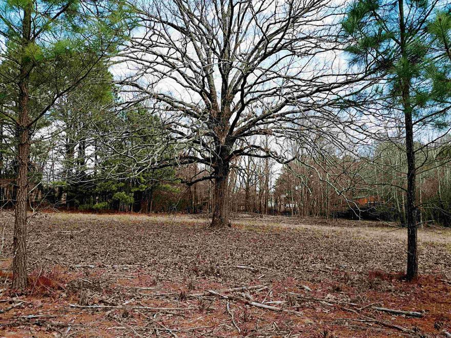 CREATE YOUR NEW TOMORROW on this 701 ± acres tract.  Secluded with utilities at the road.  Whether you want to unlock extraordinary potential investor services or simply enjoy the pleasures of land ownership, you can build a "tiny home" or explore moibile home tenancy.  Utilities are at the road