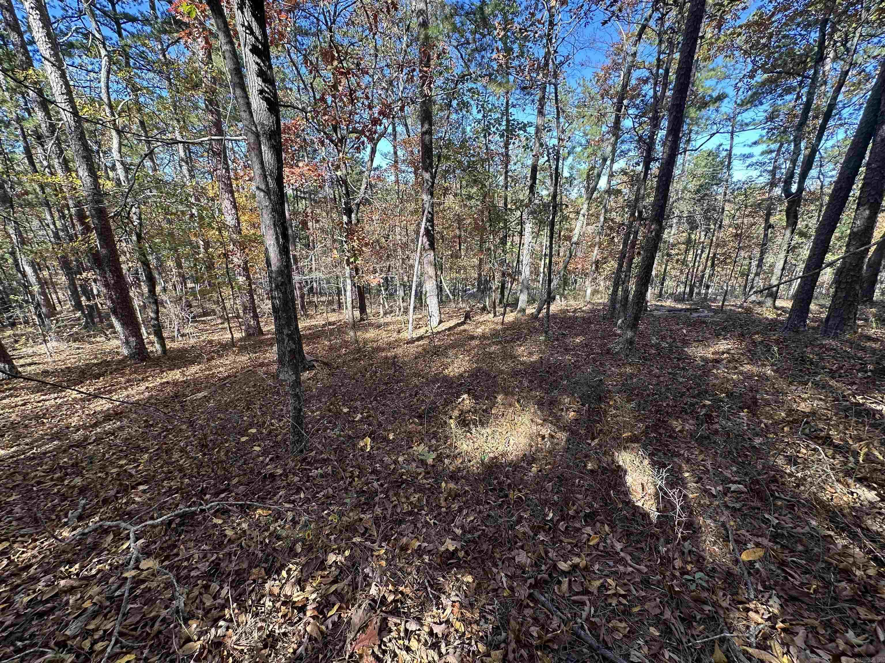 Hot Springs Village - Land