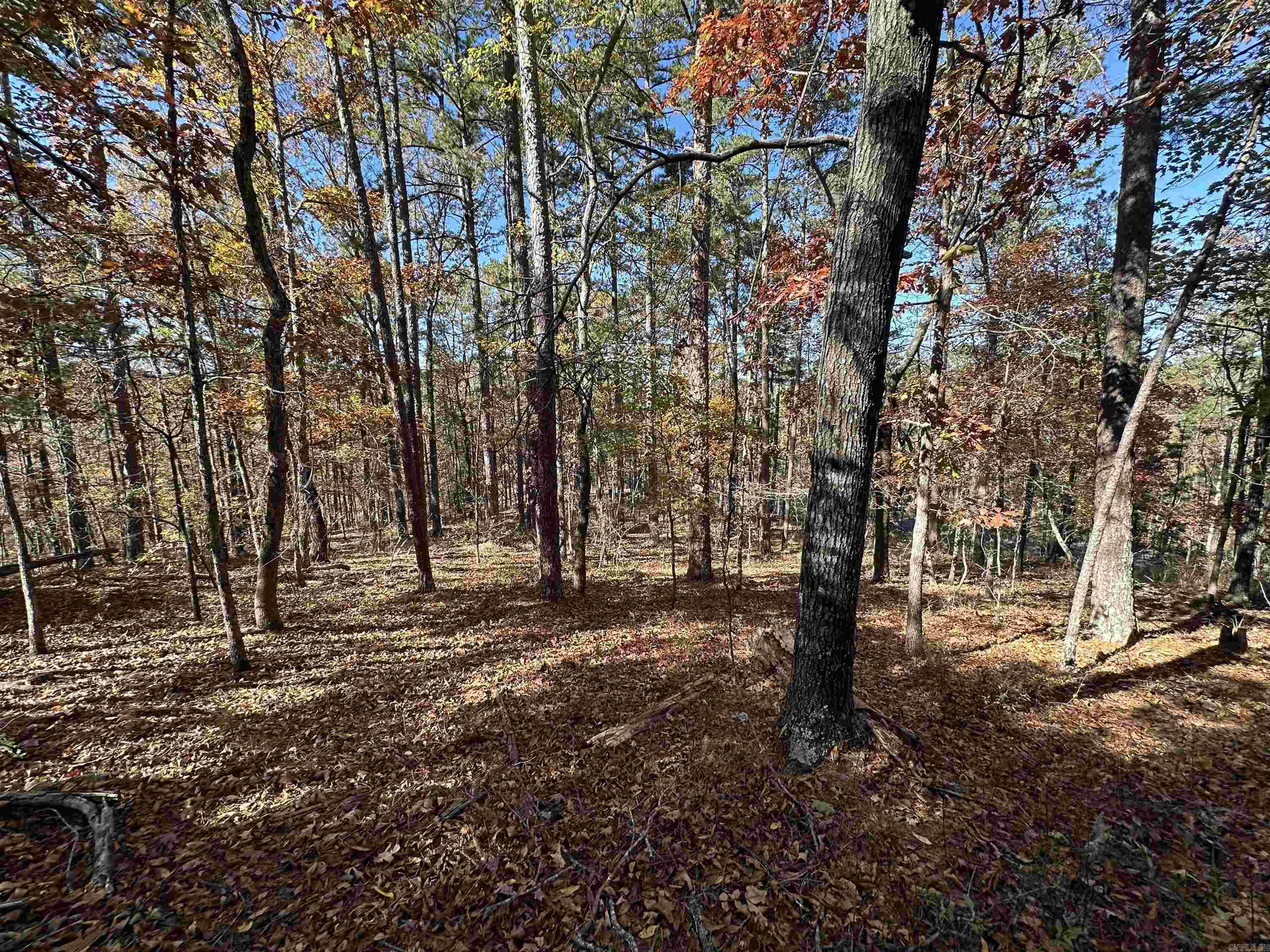 Hot Springs Village - Land