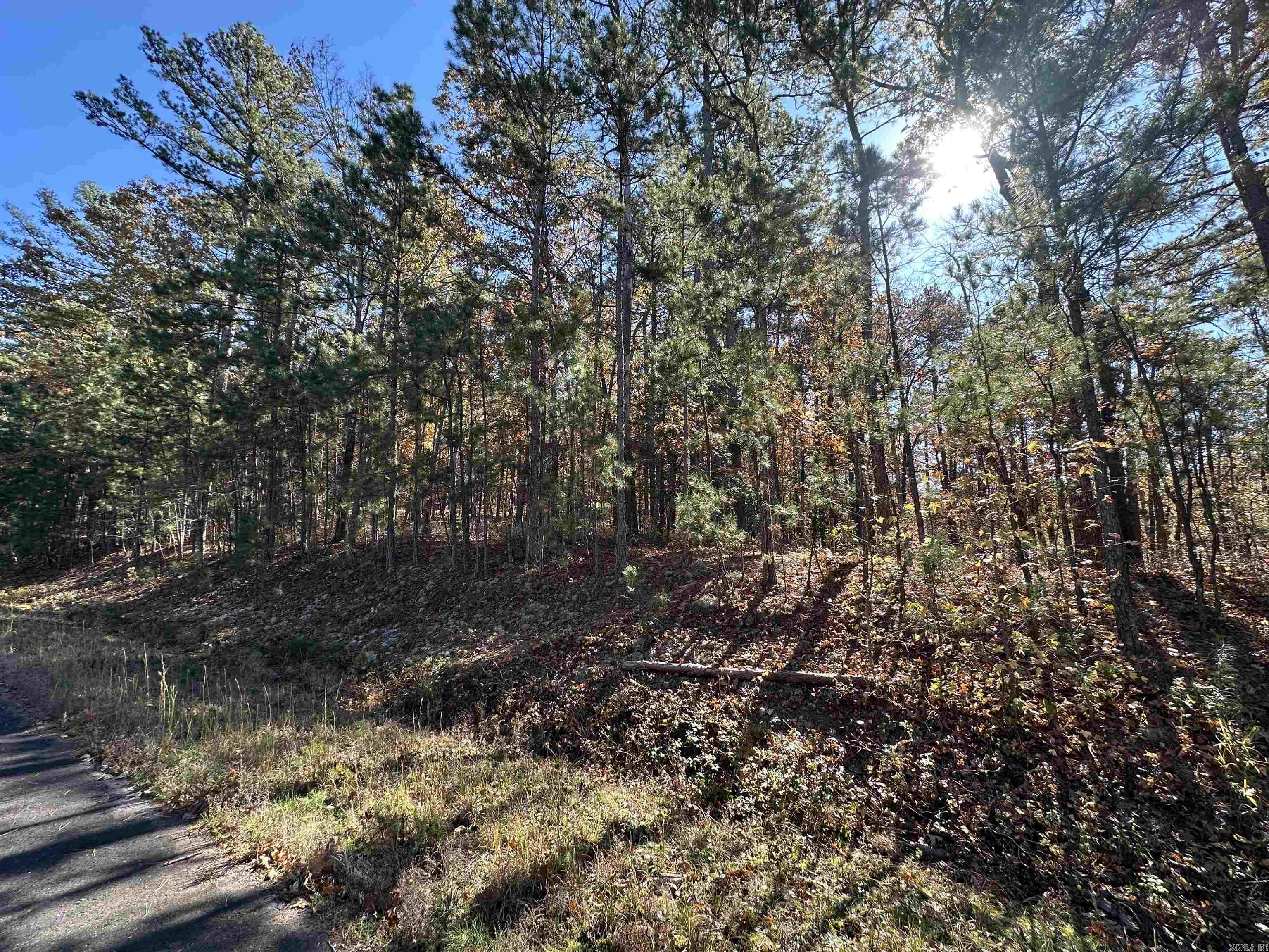 Hot Springs Village - Land