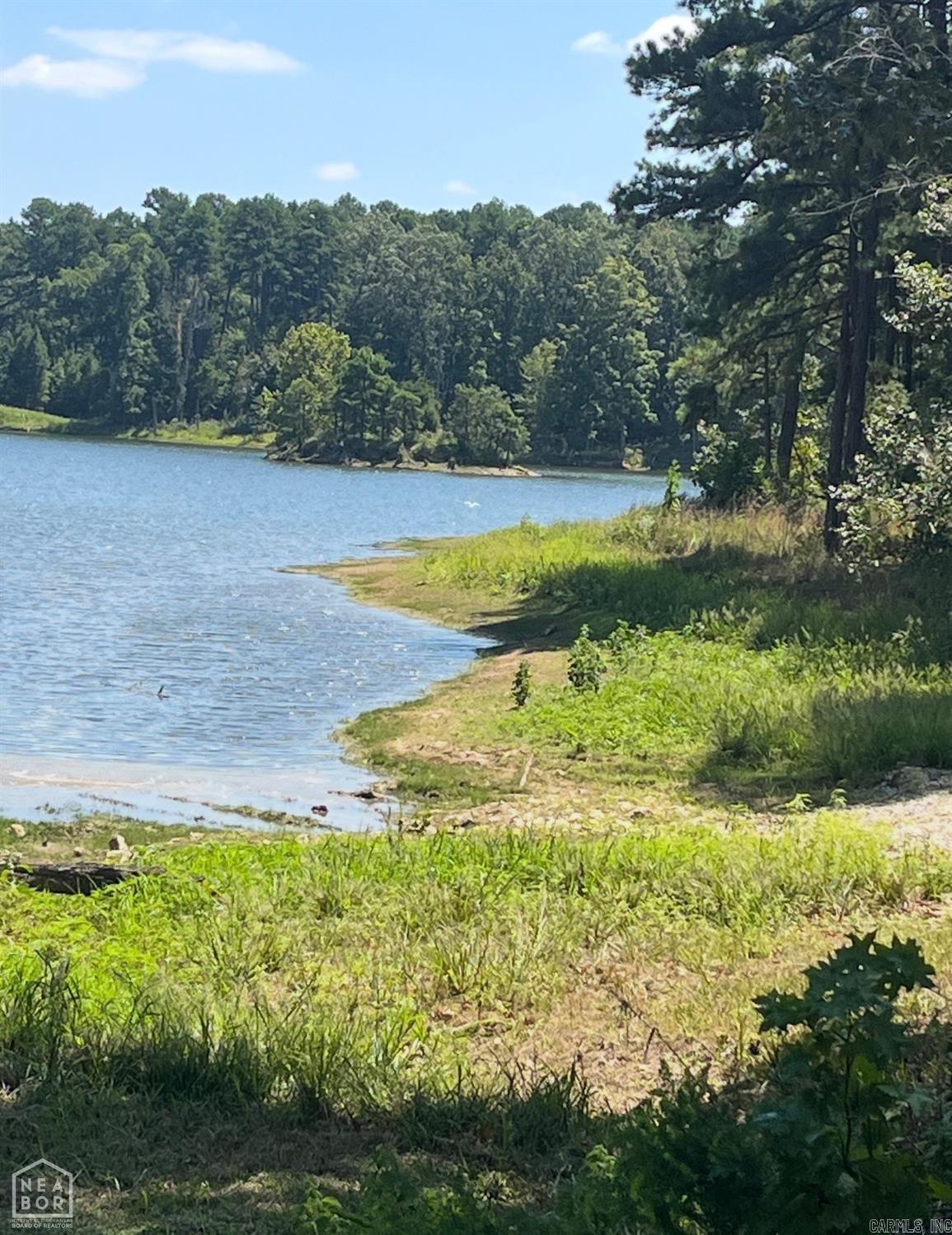 Lakes at Pine Knot - Land