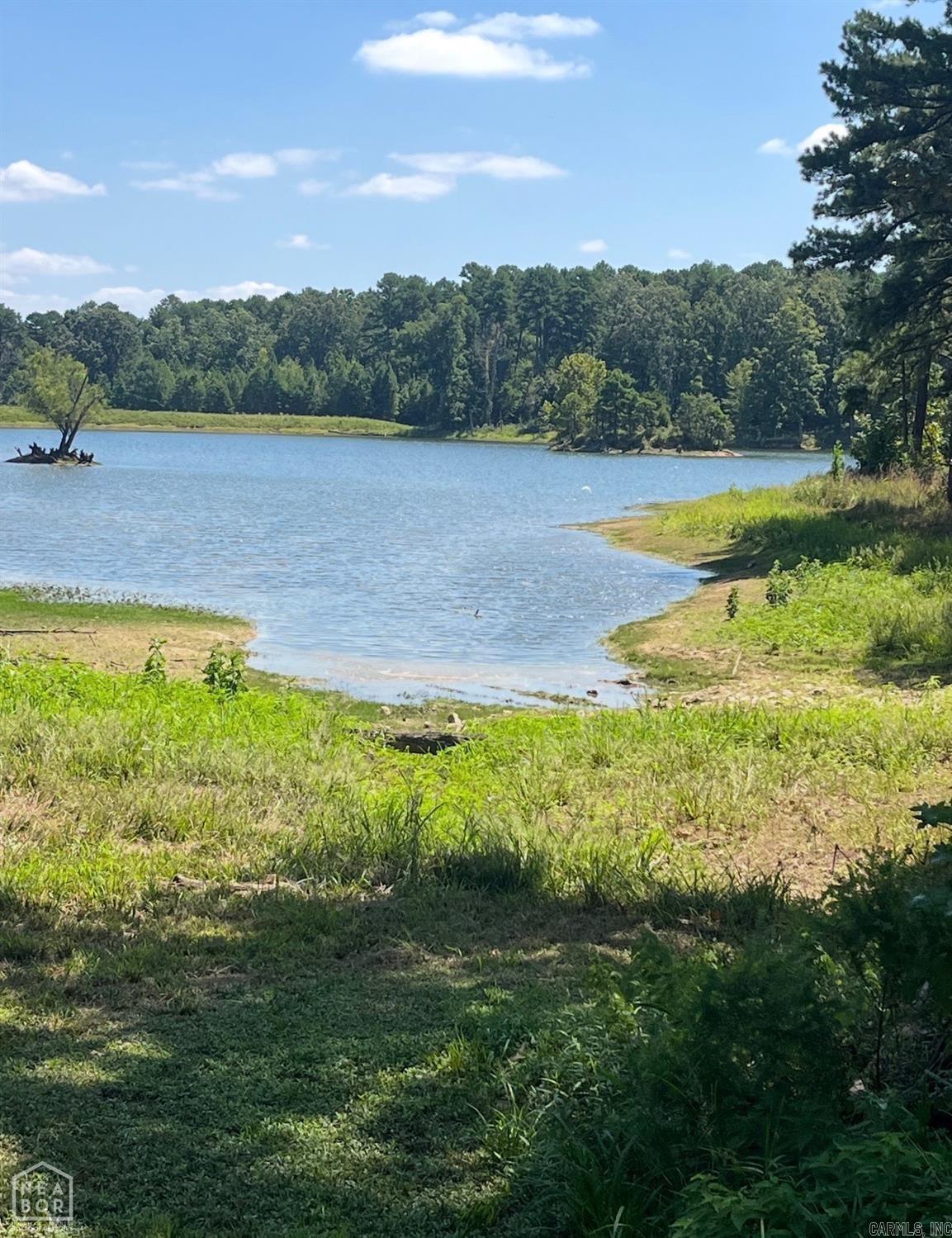 Lakes at Pine Knot - Land