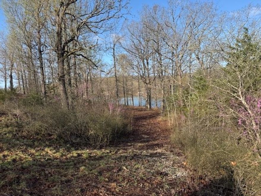 Nestled along the serene shores of Diamond Lake, this exceptional property offers a rare opportunity to own two lots boasting approximately 360 feet of coveted lake frontage. Imagine waking up to breathtaking water views and the tranquility of lakeside living. The property features a desirable sandy beach area at the water's edge, providing the perfect spot for relaxation and recreation. A convenient drive-down access to the lake ensures ease of enjoyment for boating, swimming, and other water activities. These well-situated lots present an ideal canvas for creating your dream lakeside retreat. While a previous percolation test has been conducted, a new one will be required prior to any construction, ensuring suitability for building. The natural topography of the land lends itself perfectly to a home with a walkout basement, offering seamless indoor-outdoor living and maximizing the stunning panoramic views of Diamond Lake. This is a prime location to build a custom residence and embrace the peaceful beauty of lakefront living in Horseshoe Bend, Arkansas.