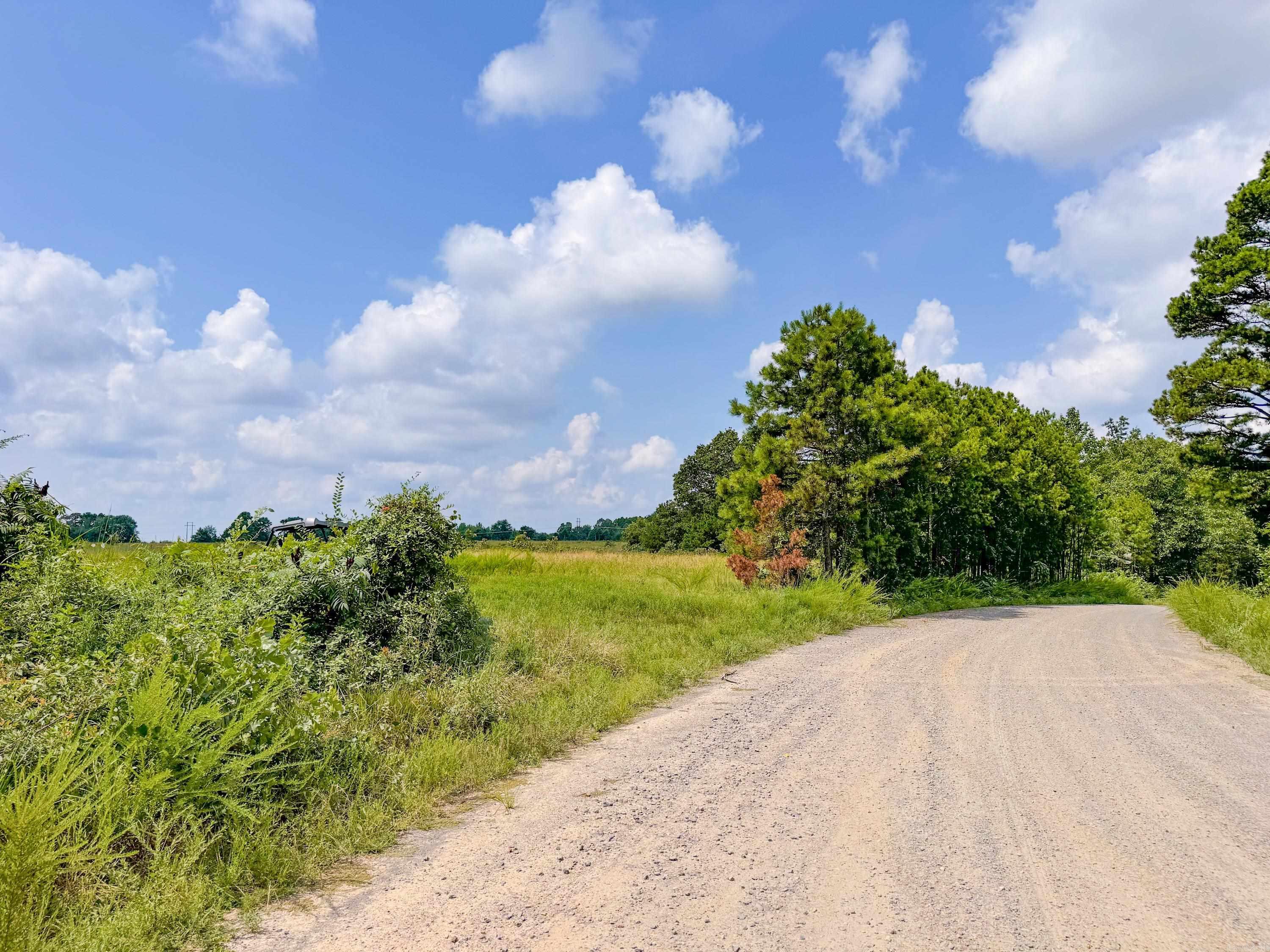 Large tract of land with the opportunity for mixed use near the foothills of the Ozarks. This beautiful tract is in a fantastic location for recreation in the Natural State -- only 20 minutes to Choctaw Marina on Greers Ferry Lake, one hour to Grinder's Ferry on the Buffalo National River, and just 1.5 hours to the national airport in Little Rock. This property is tucked away and very quiet. There is about 20 acres of flat pasture land. The remaining acreage is a healthy mix of towering pines, cedars, and hardwoods. Among the trees you'll find flowering dogwoods, winged elms, black tupelo, white ash, and hickories and oaks of many varieties. Edible wild muscadines and blackberries are peppered throughout the woods. There is a powerline with high-speed fiber internet through the property, which is both great for utility access and makes a clear hunting lane for white-tailed deer. ATV trails run through portions of the property. Property will be sold only as one tract all together.