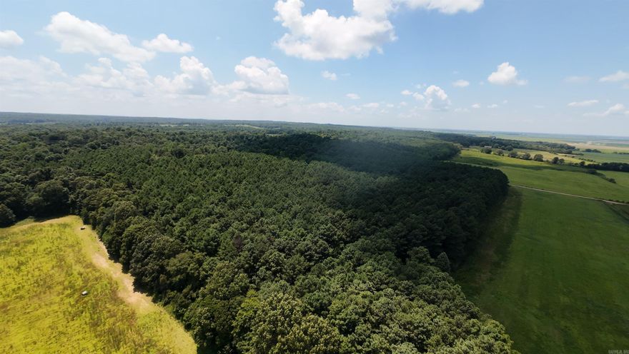 CR 331 Hwy 62 in Pollard, AR. 72456 is a 47 acre parcel of Crowley's Ridge. The property is full of untouched timber. Deer, turkey, squirrel and a stock pond make this peaceful property a hunter and outdoorsman's dream!