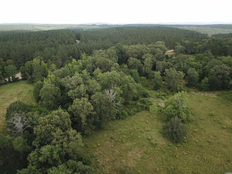 Enjoy the tranquility of this remote 22+/- acres with several nice building sites. Abundant wildlife and close to Lake Degray and Cox CreekLanding Recreational Area.