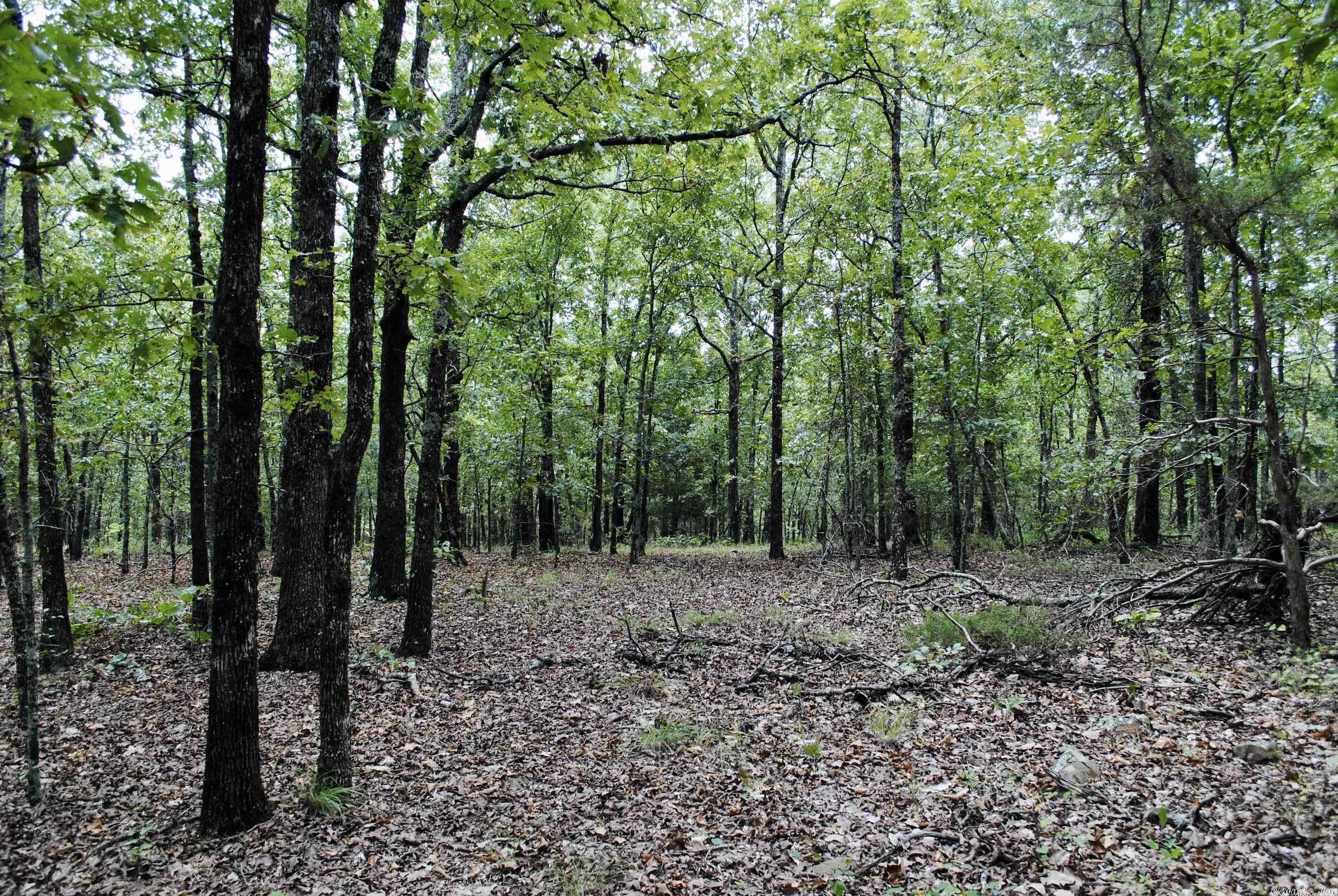 Not in Subdivision - Land