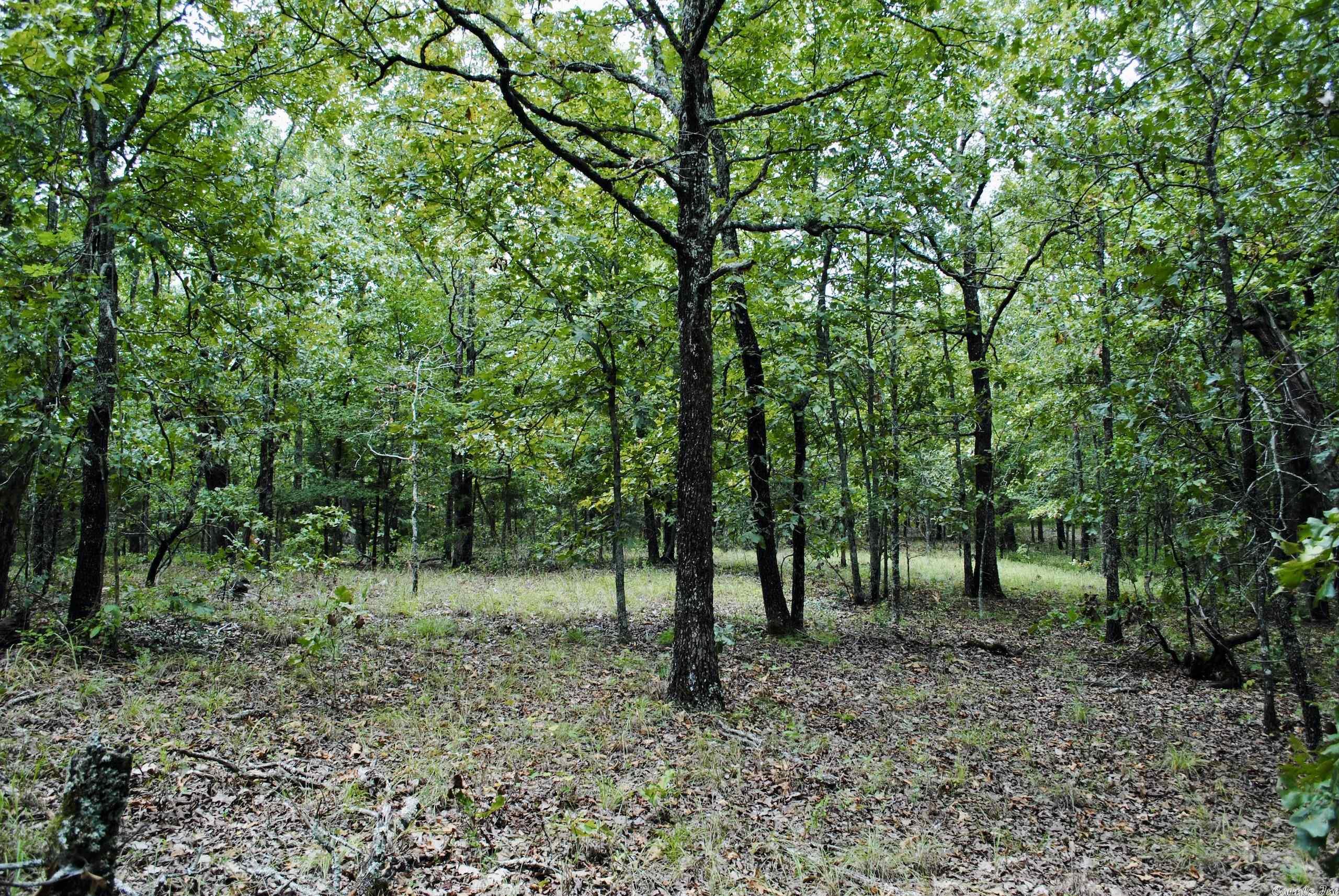 Not in Subdivision - Land