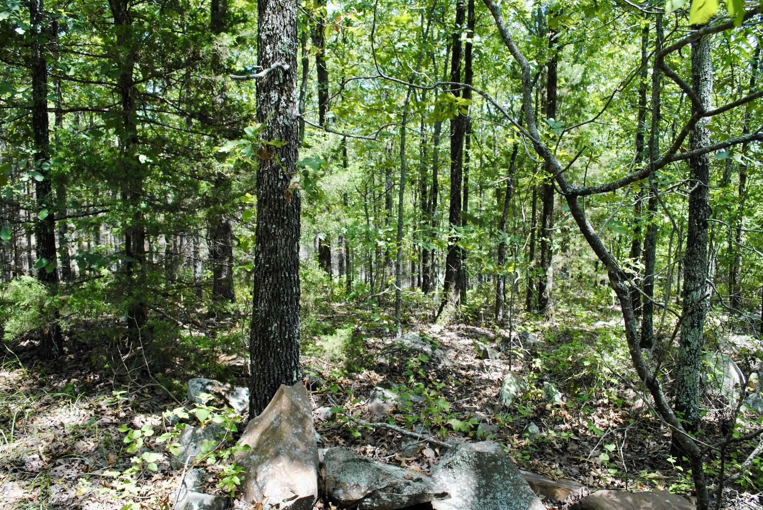 Not in Subdivision - Land