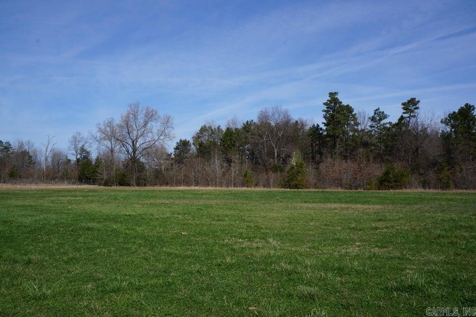 Hwy frontage on HWY 124. This land is ready to build your dream home on. The views are amazing, and it is only 15 minutes to Russellville!! Water, electricity, and high-speed internet are available on the road. MINERAL RIGHTS CONVEY see private remarks for restrictions