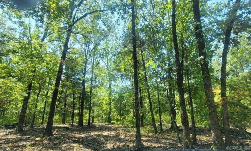 Waterfront! Your very own private and wooded three acres sits on the banks of the Arkansas River ready for your cabin or new home. Located only 10 minutes from Dardnelle and 23 minutes from Russellville. Secluded, yet close to town.