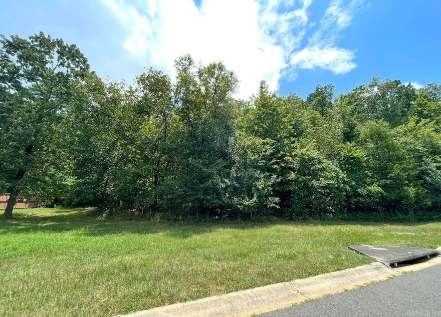 Beautiful lot available to build. Lot #37 in The Hills Subdivision. Lot #36 is also available. to the left of lot #37. Two other lots in the subdivision are available. Lot 9 & 17.