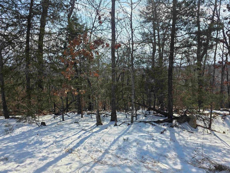 Gorgeous, wooded lot in the heart of Cherokee Village. Secluded and away from it all. But close to a main road for quick exits from the Village for shopping, dining and entertainment. This gentle downhill, sloping lot overlooks the Nocatee Dri ridge and the Ocala Dr Valley. What a view you could have. Buy this lot and pick your spot to build your dream home or just a getaway cabin. With ownership of this lot, you will have access to all the amenities of Cherokee Village such as the 7 lakes and Two 18-hole golf courses also the Thunderbird Center and swimming pool, mini golf, parks, hiking trails and don't forget about the beautiful Southfork River for fishing, kayaking or just floating down to wet your toes. This is a wonderful lot to purchase and plan for your future home. Call to purchase this one. Owner Financing possible with agreeable terms.