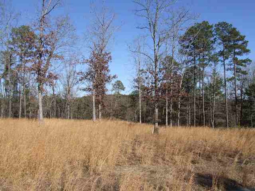 The perfect ¾ acre lakefront get-away lot with great lake views located in a picturesque, wooded Subdivision.  Cobalt Bay is located on the north shore of Greers Ferry Lake situated between Green Cove and Thompson Cove.  This scenic subdivision is conveniently located close to Fairfield Bay & 20 minutes to Hwy 65/Clinton. The lot has a large, level building site & is sloped to the rear for a gorgeous views of the water. Boat Slip available-$20,000.00. Some pictures taken below white line.