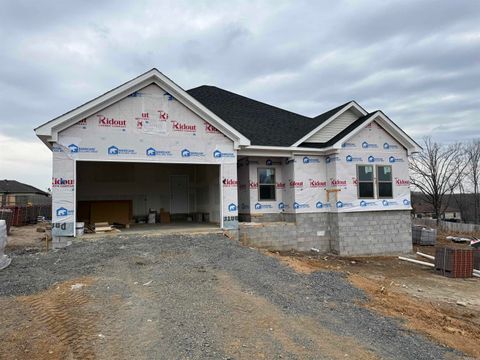 Photo of 517 Madeleine Circle, Austin, AR 72007 (MLS # 26006720)