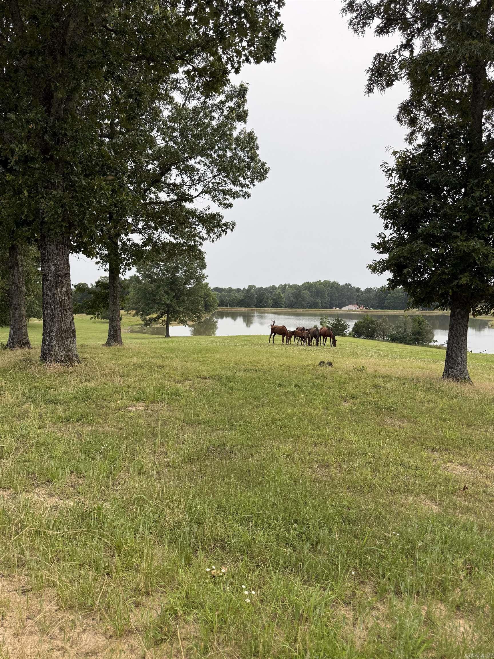 Not in Subdivision - Land