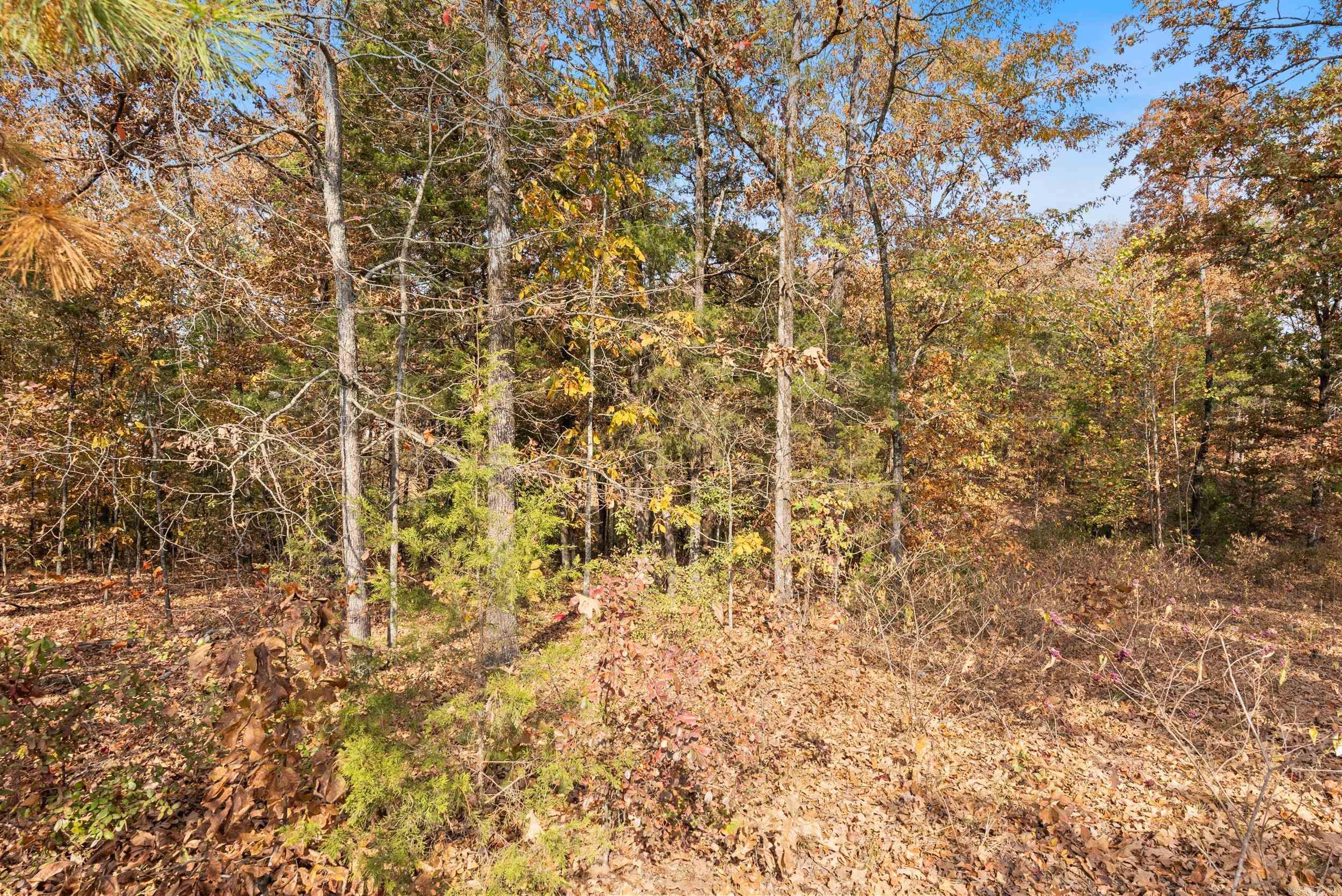 Spencer Mountain at the Lake - Land