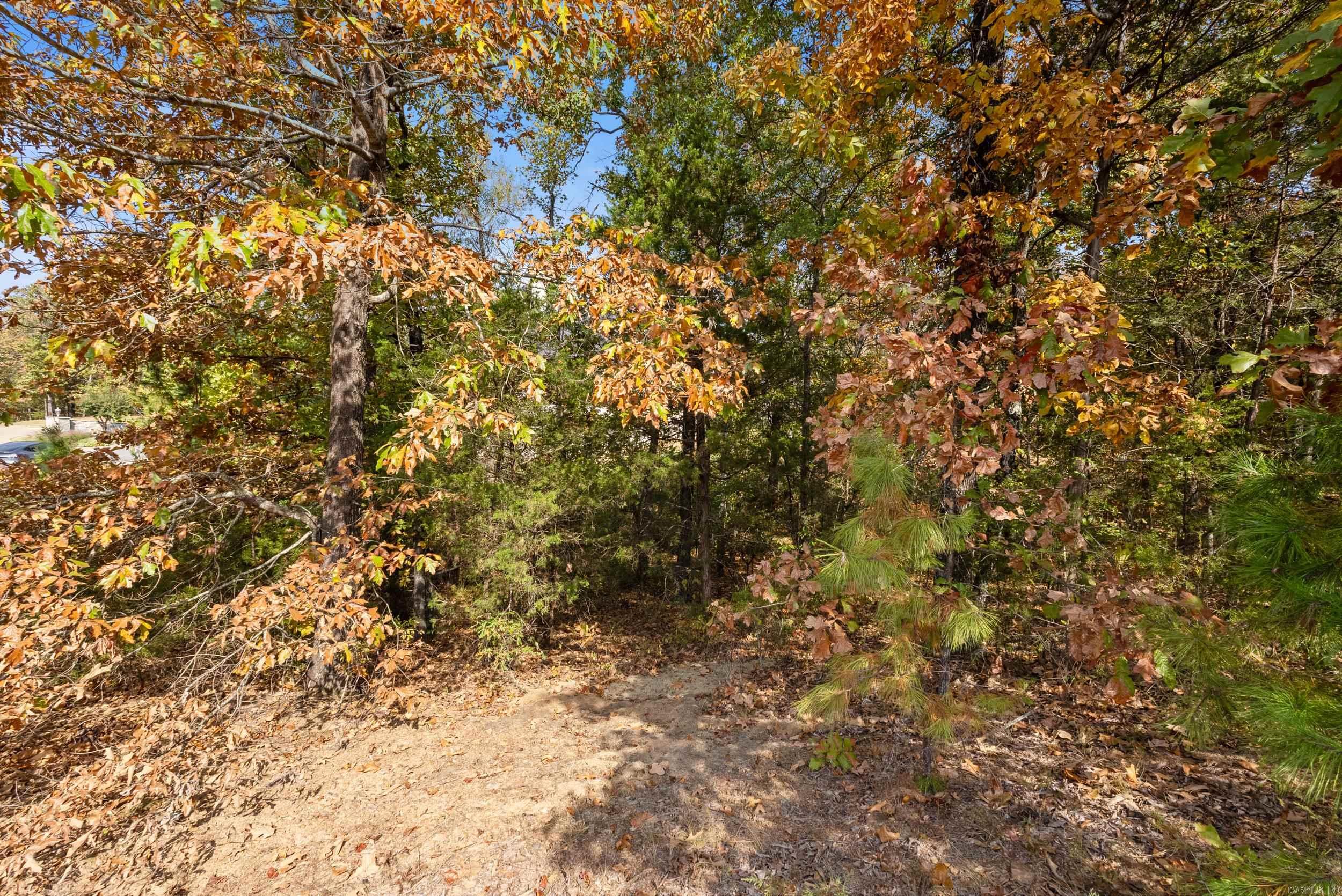 Spencer Mountain at the Lake - Land