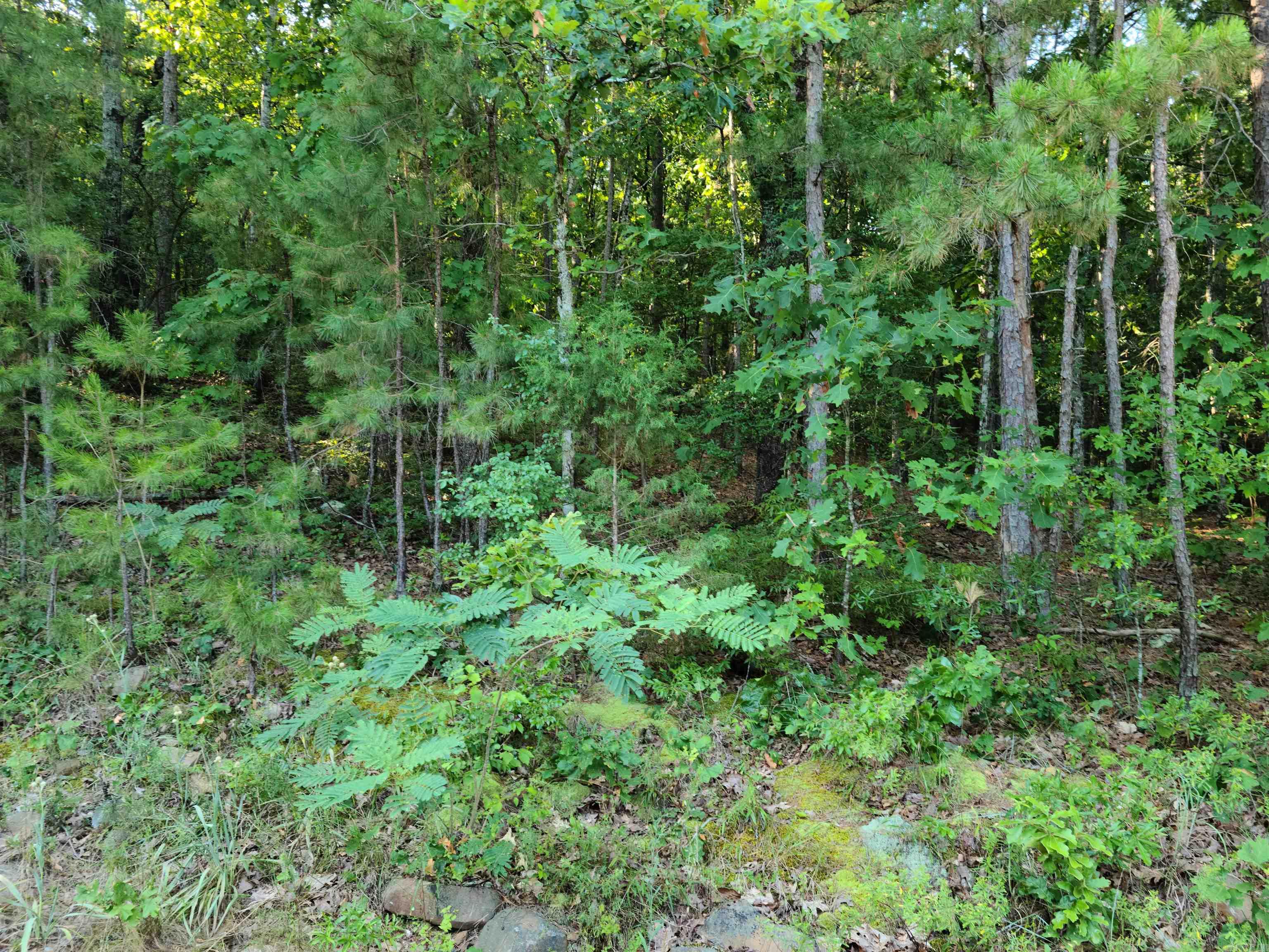 Oak Grove Fire - Land