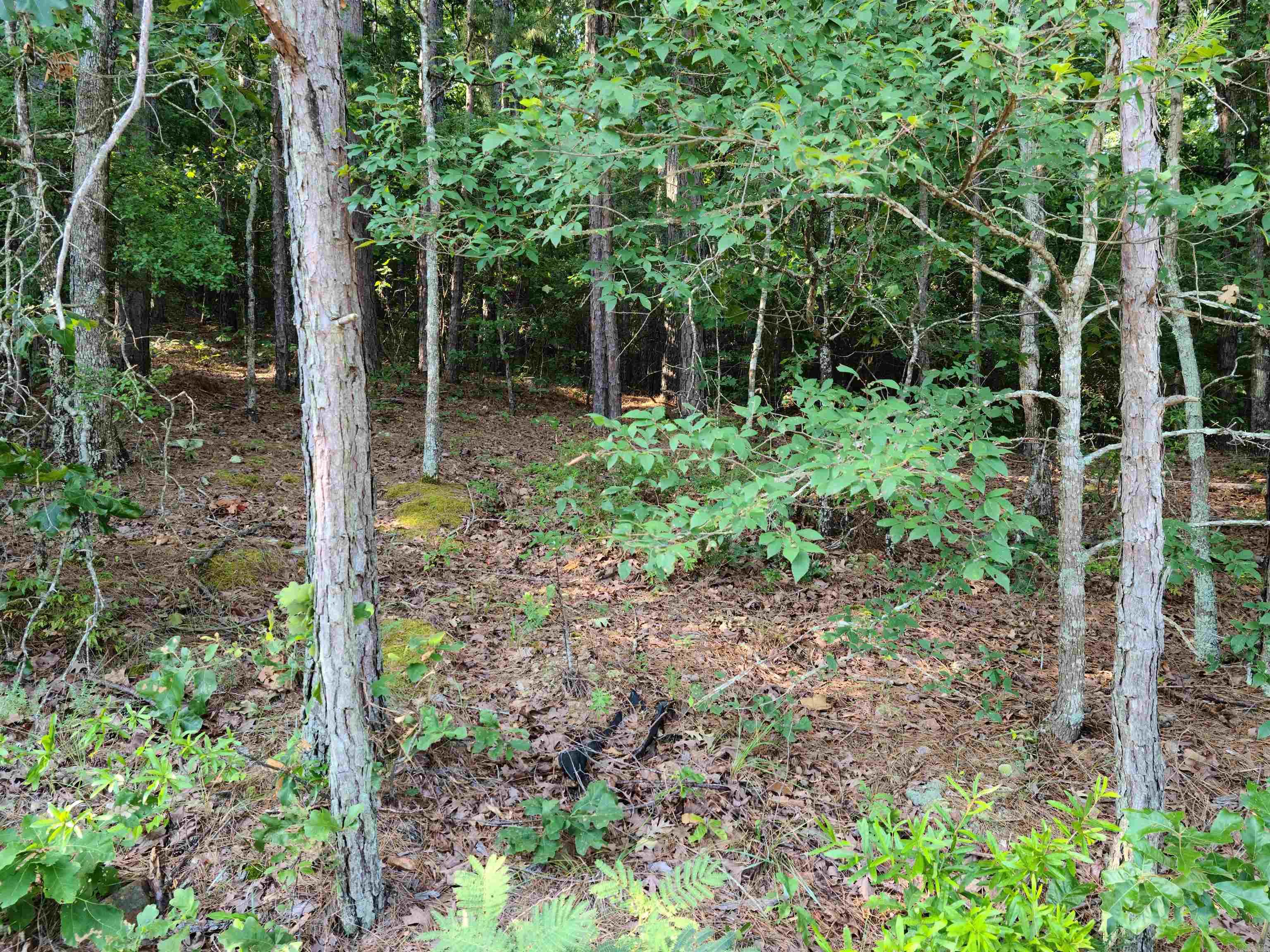 Oak Grove Fire - Land