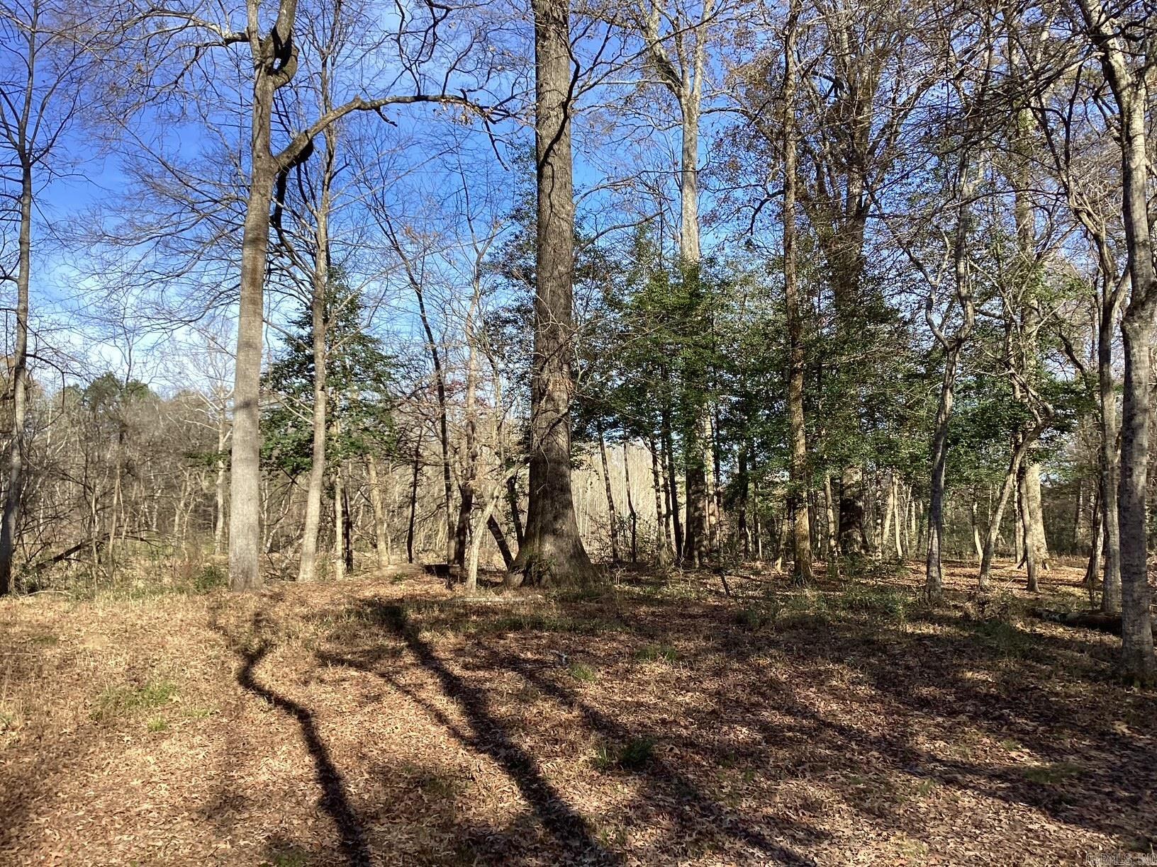 Metes & Bounds - Land