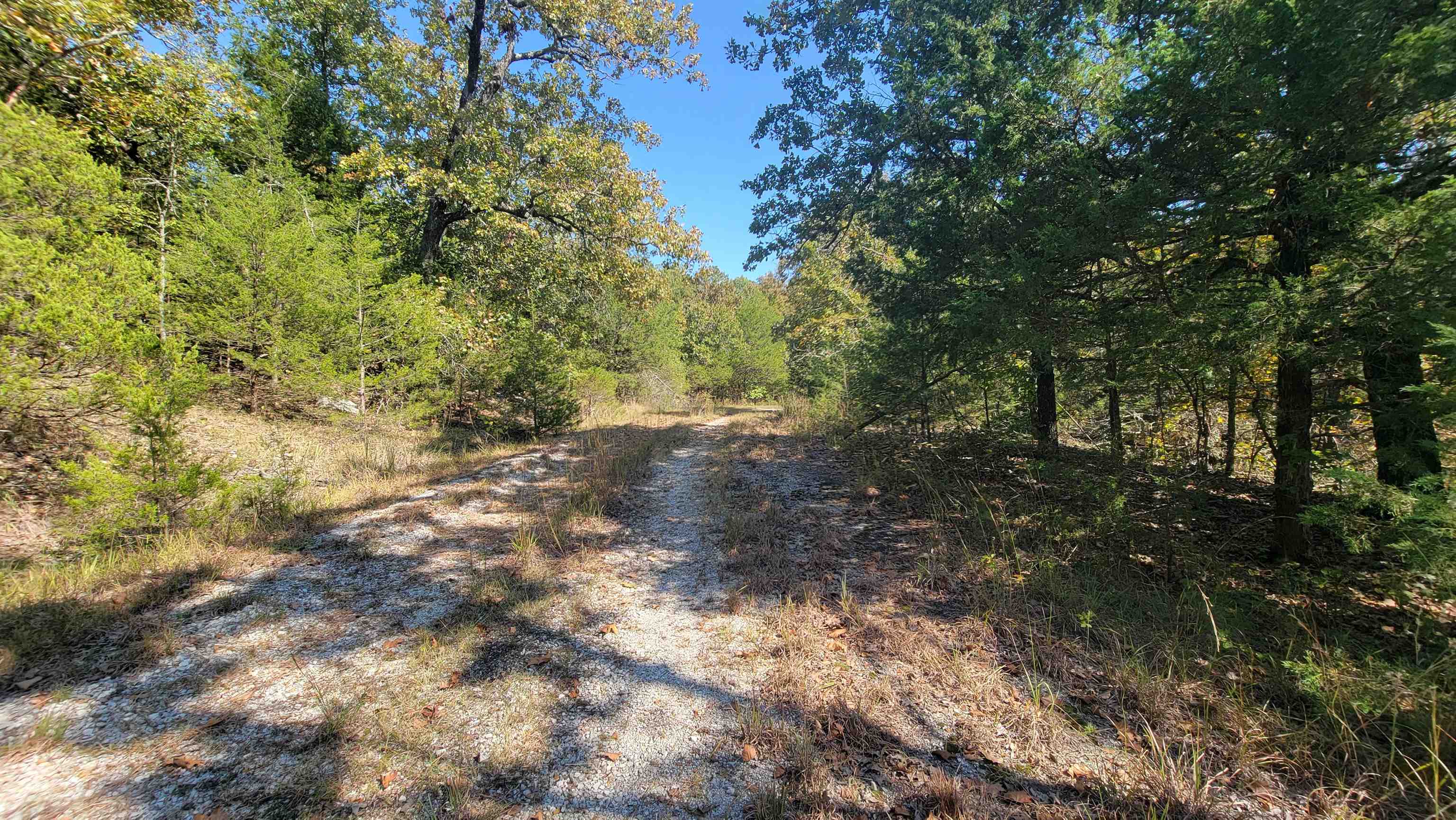 Beautiful lot in an area surrounded by trees and privacy! This lot affords privacy, yet is only 7 minutes from Cherokee Village Town Center. It has water and electric available nearby, so it is the perfect spot to build your dream! With the purchase of this lot, you gain access to the 7 lakes, 2 golf courses, and may other ammenities Cherokee Village has to offer. There is a minimum of 800 sq feet to build on the lot, so a tiny home would be perfect! The structure will need to be permenant and no mobiles or campers are allowed as dwellings. There is a copy of the Bill of Assurance available online at cherokeevillage.org.