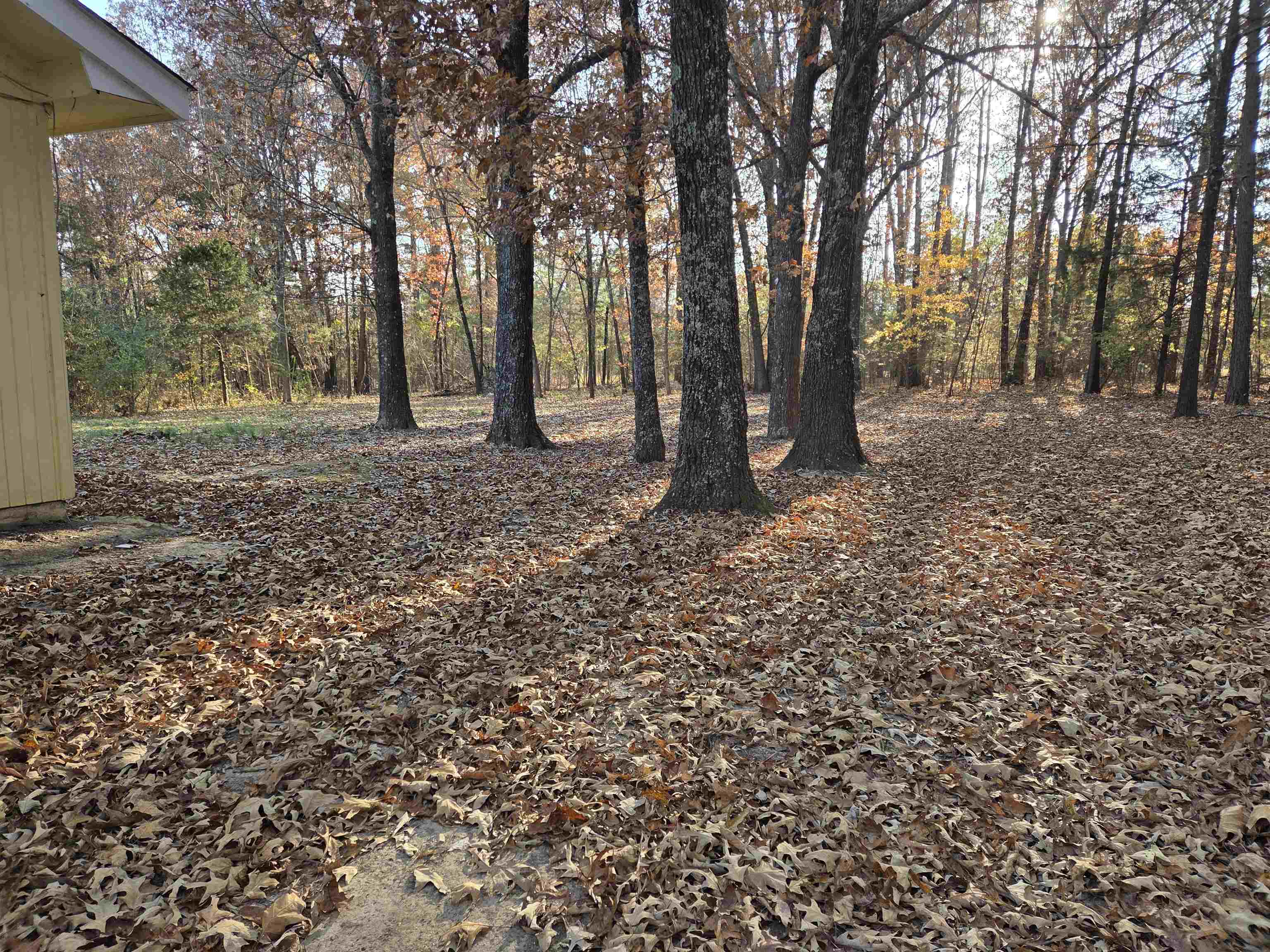 Navasota - Residential Lease