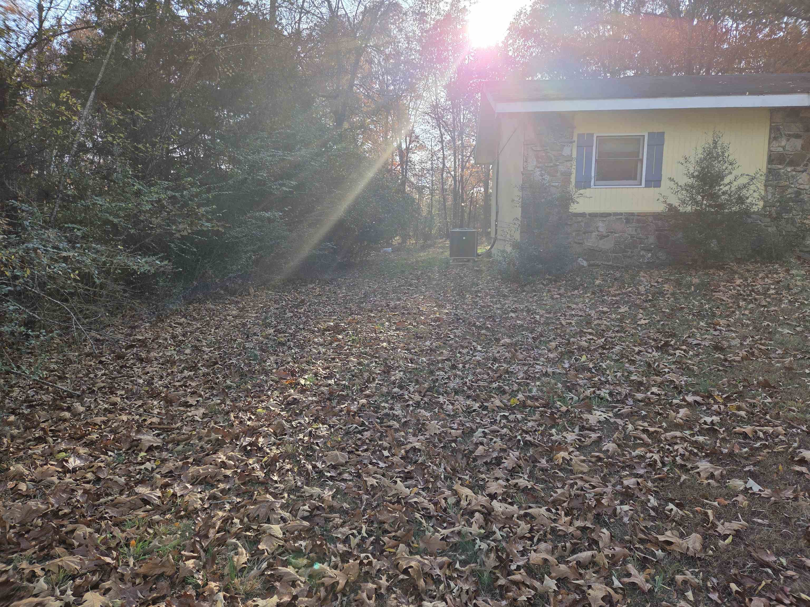 Navasota - Residential Lease