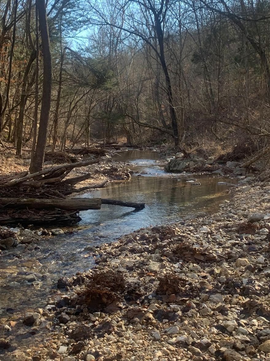 84 acres m/l of perfect Ozark Mountain countryside! This incredible piece of land has it all! A beautiful stream that runs through it, a cleared area to build your dream house or put your RV that overlooks the hollows and mountains, incredible rock outcroppings, and abundant wildlife!