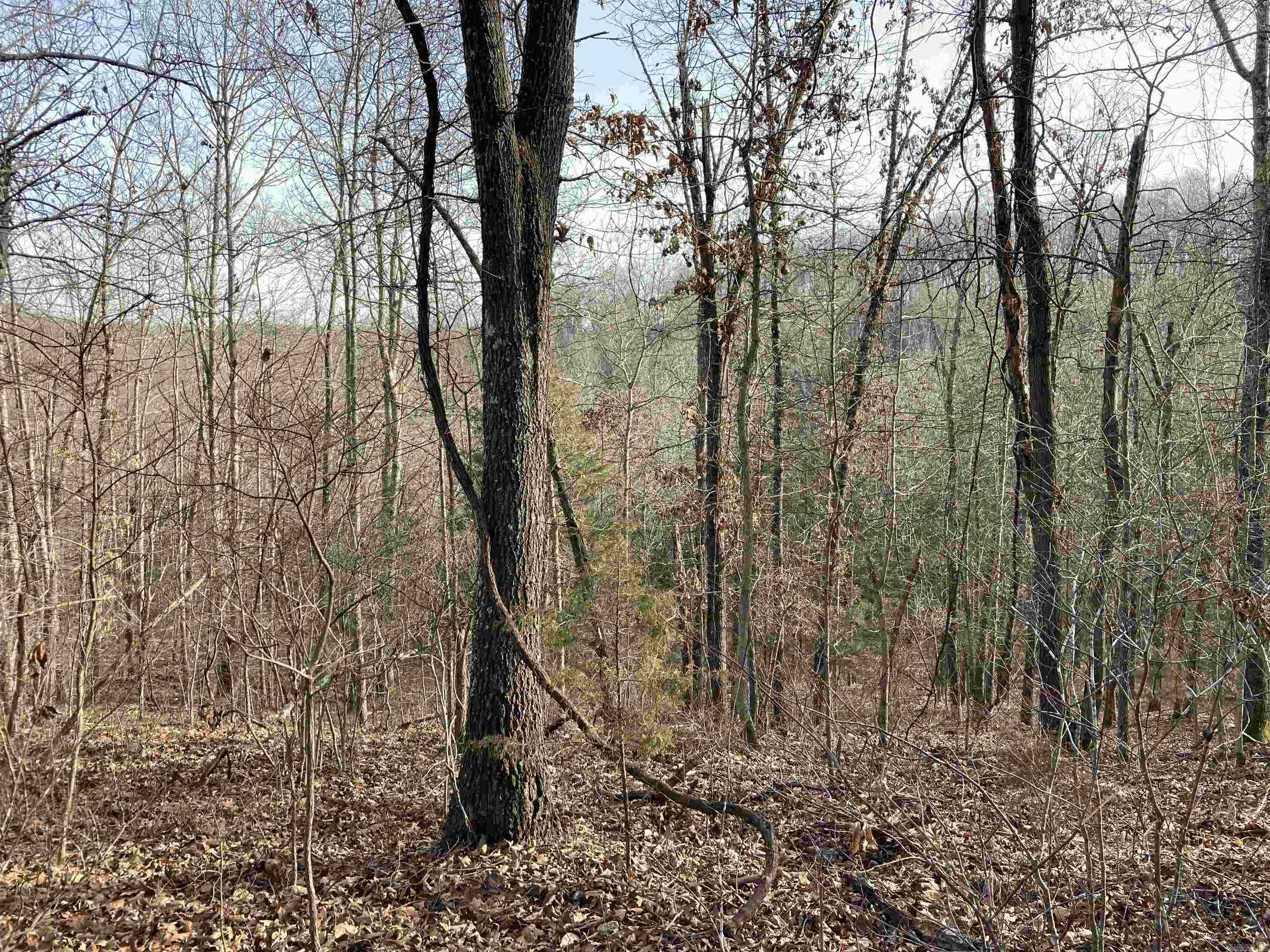 Not in Subdivision - Land