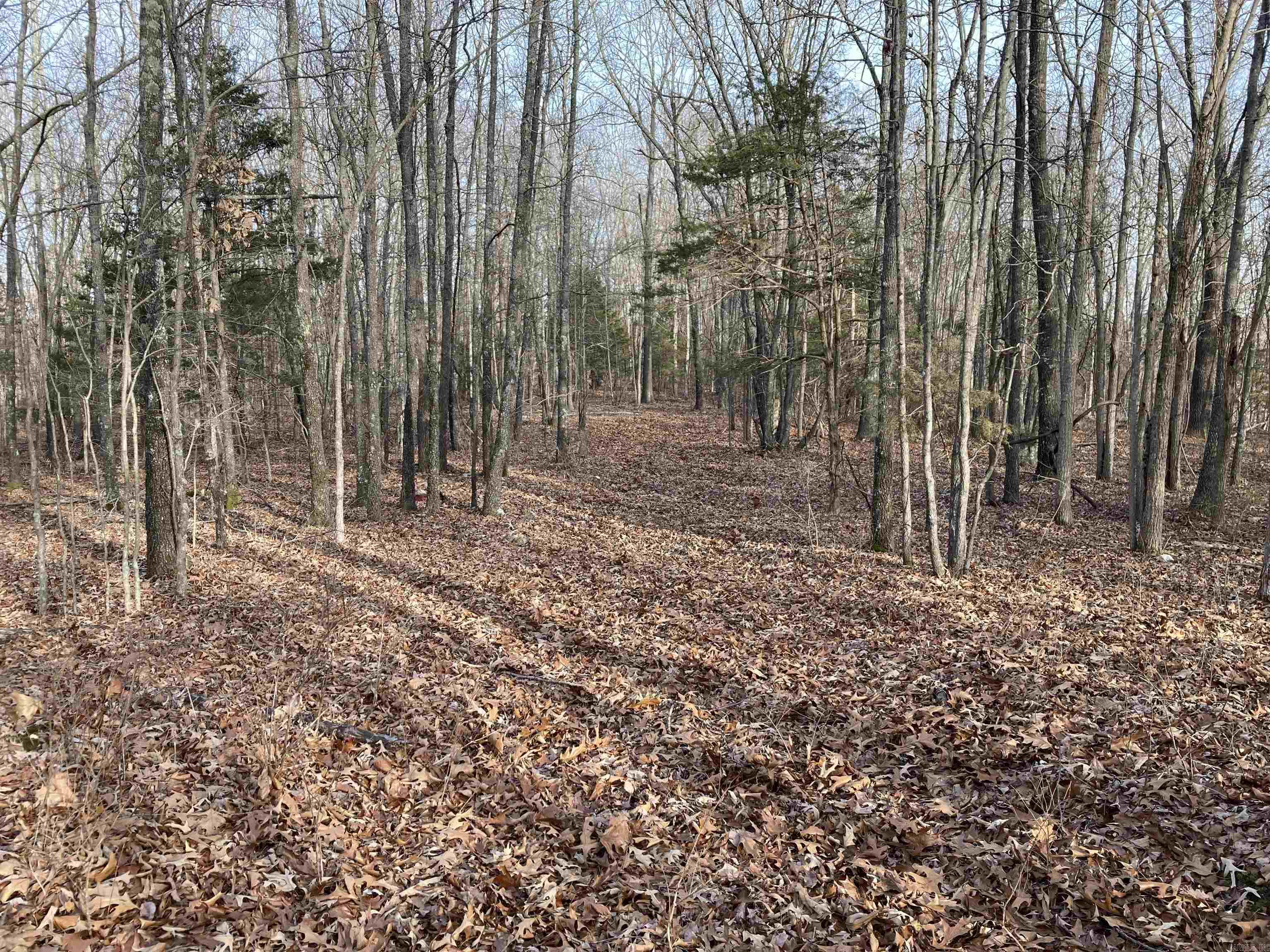 Not in Subdivision - Land