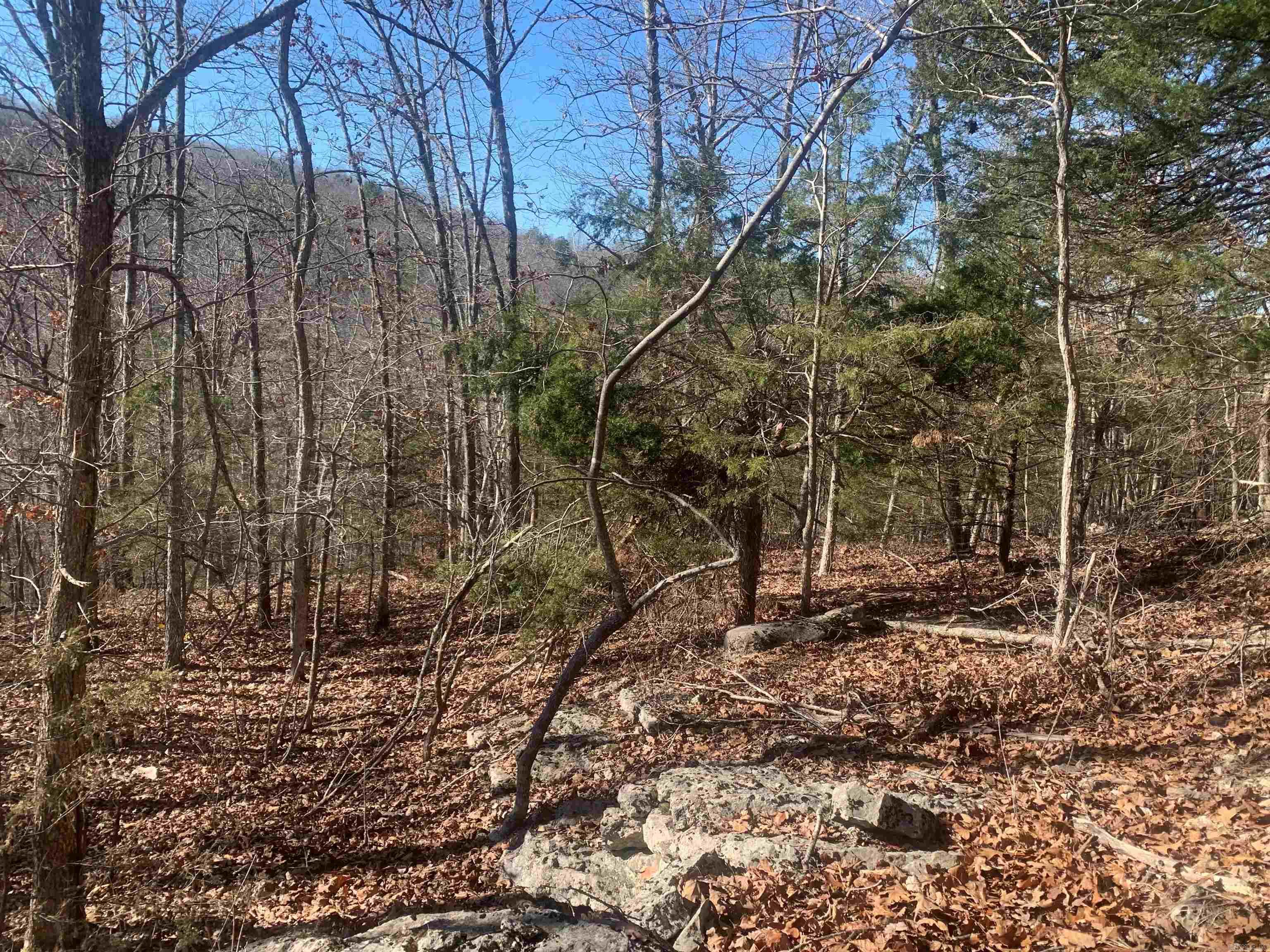 Not in Subdivision - Land