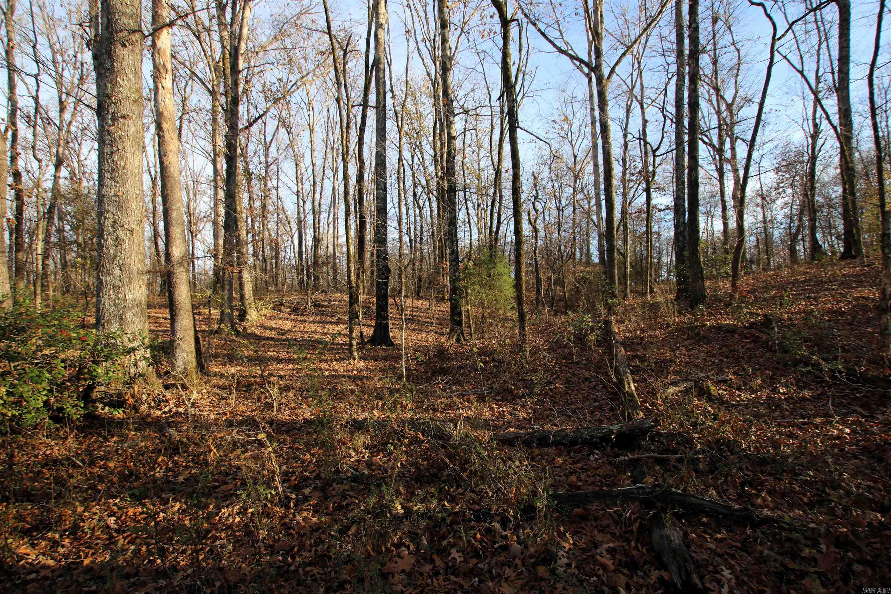 Not in Subdivision - Land