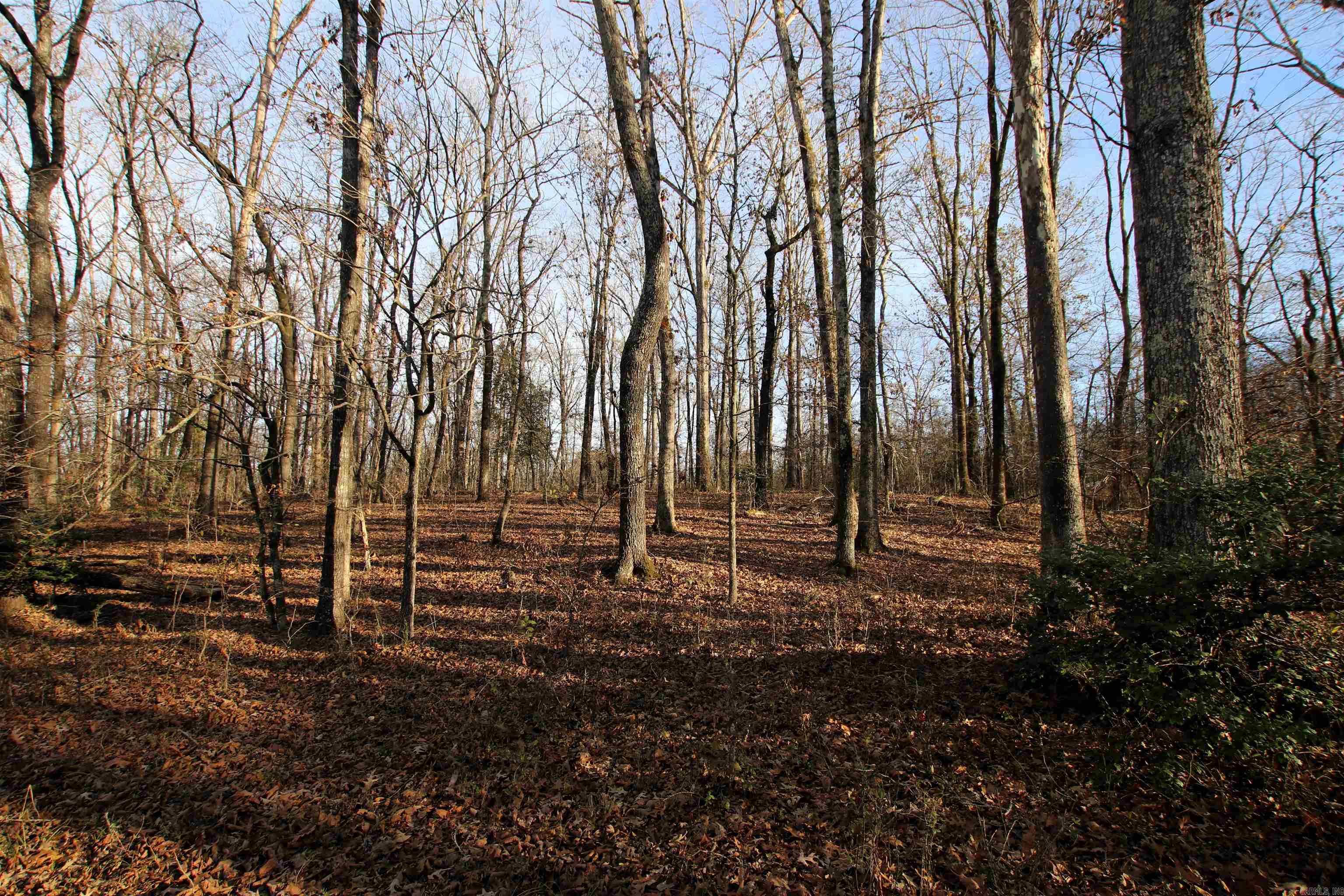 Not in Subdivision - Land