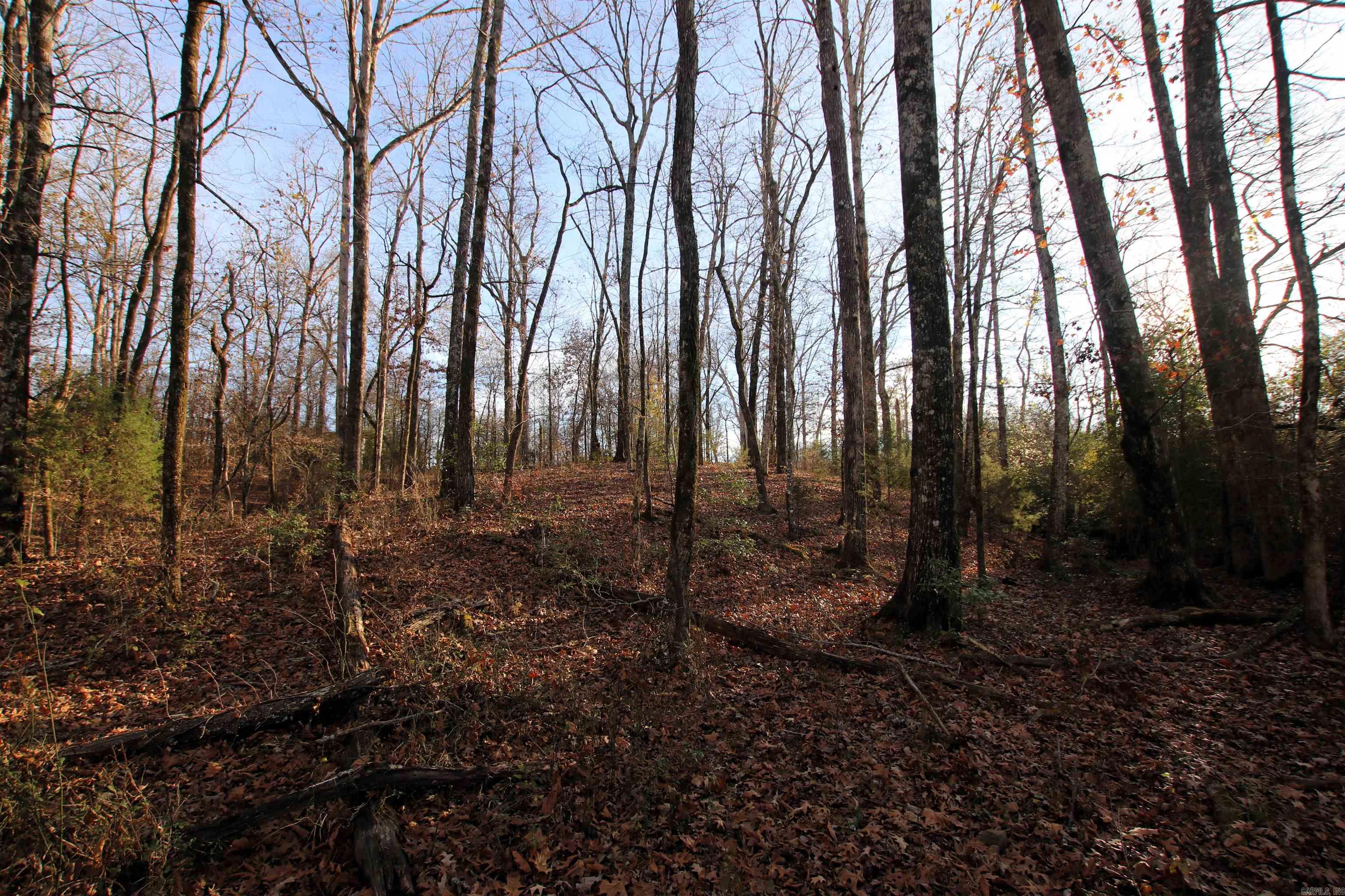 Not in Subdivision - Land