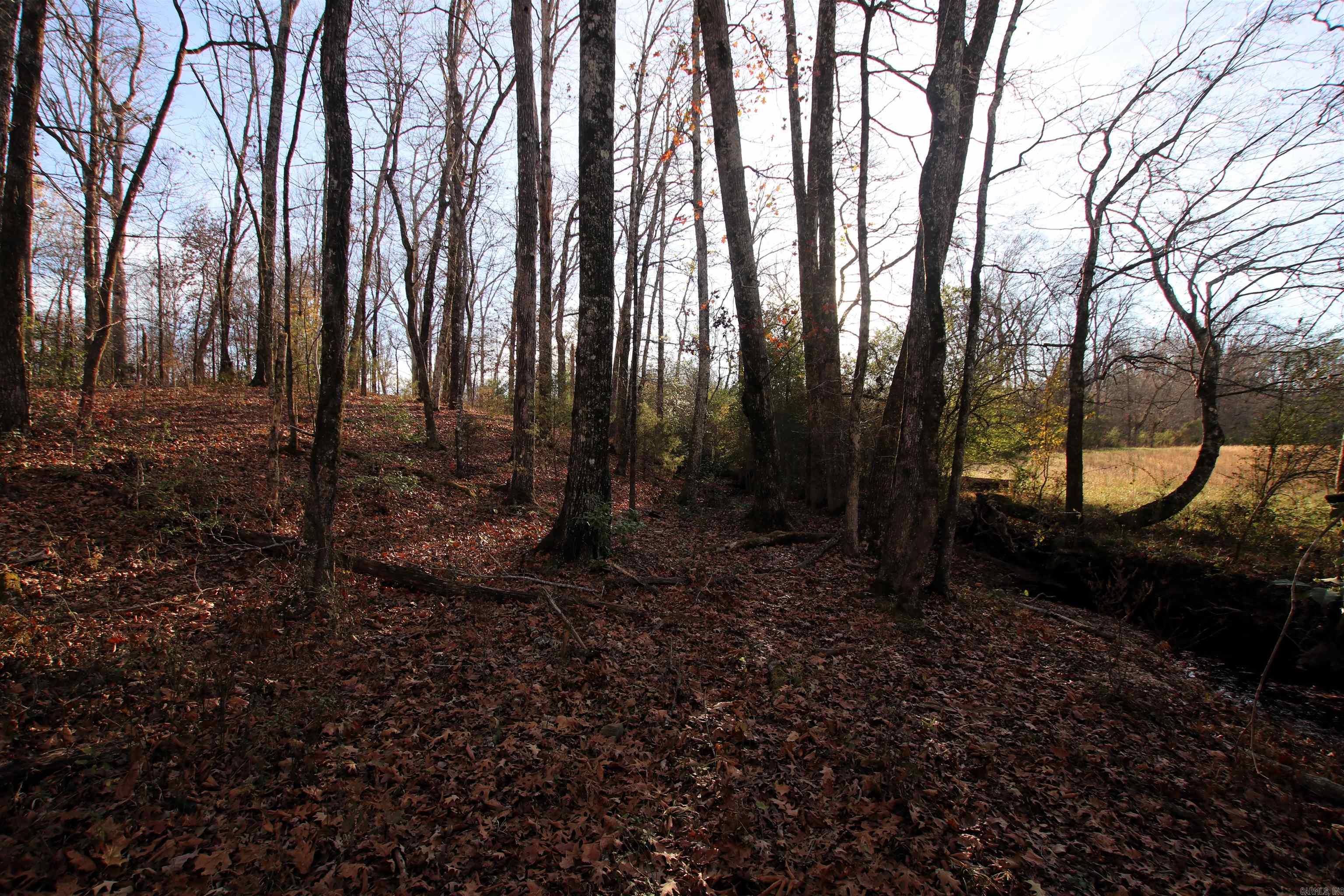 Not in Subdivision - Land