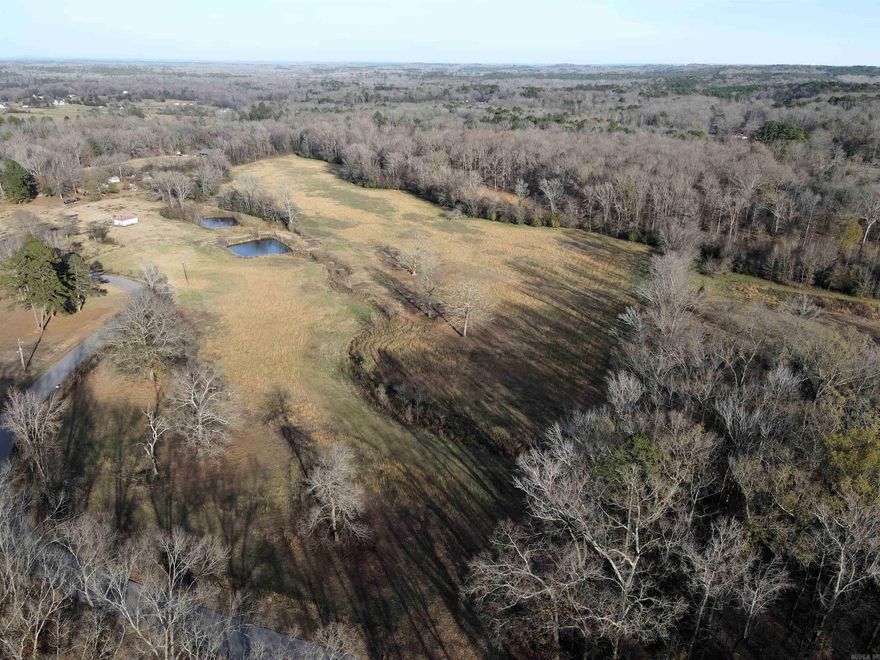 - 27 +/- acres of pasture - 15 +/- acres of timber - Perimeter fencing - Small hay barn - Old growth hardwood timber - 2 ponds - Two creeks - Great deer population - Blacktop frontage - 15 miles to Hot Springs - 12 miles to Benton