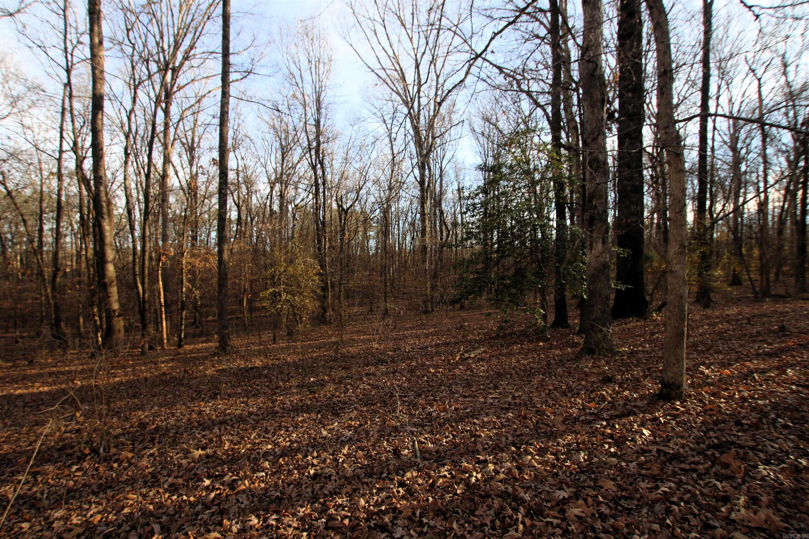 Not in Subdivision - Land