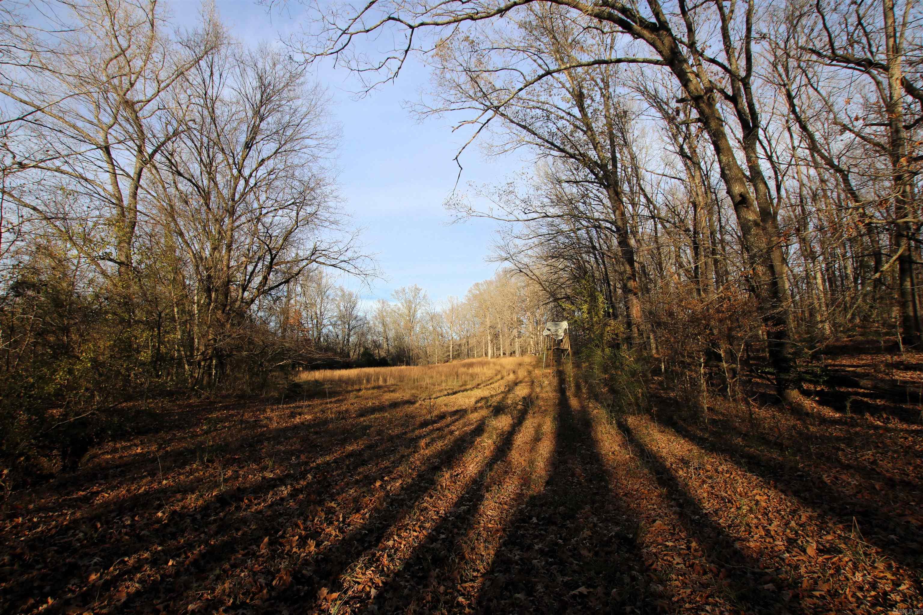 Not in Subdivision - Land